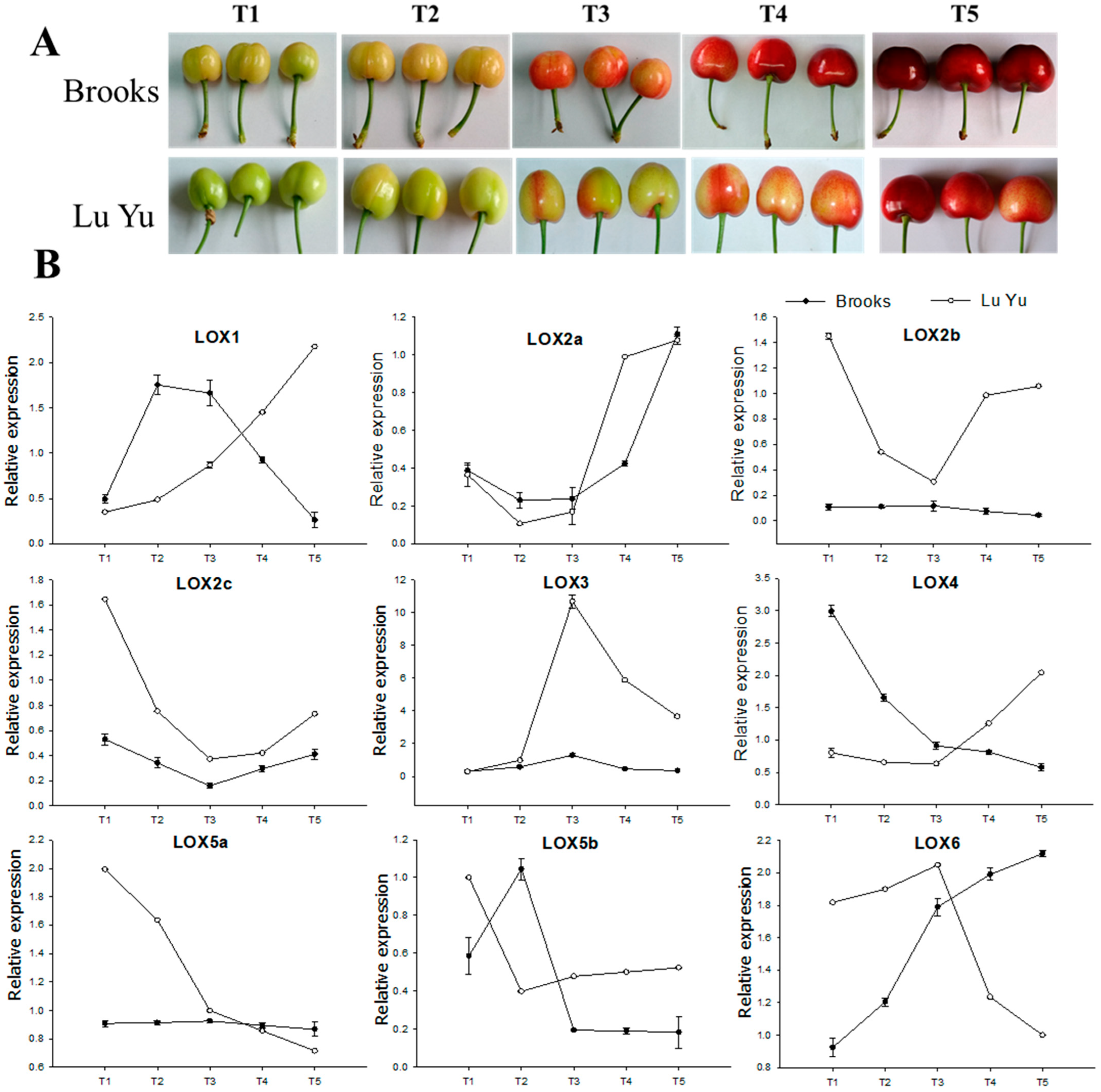 Horticulturae 10 01361 g004
