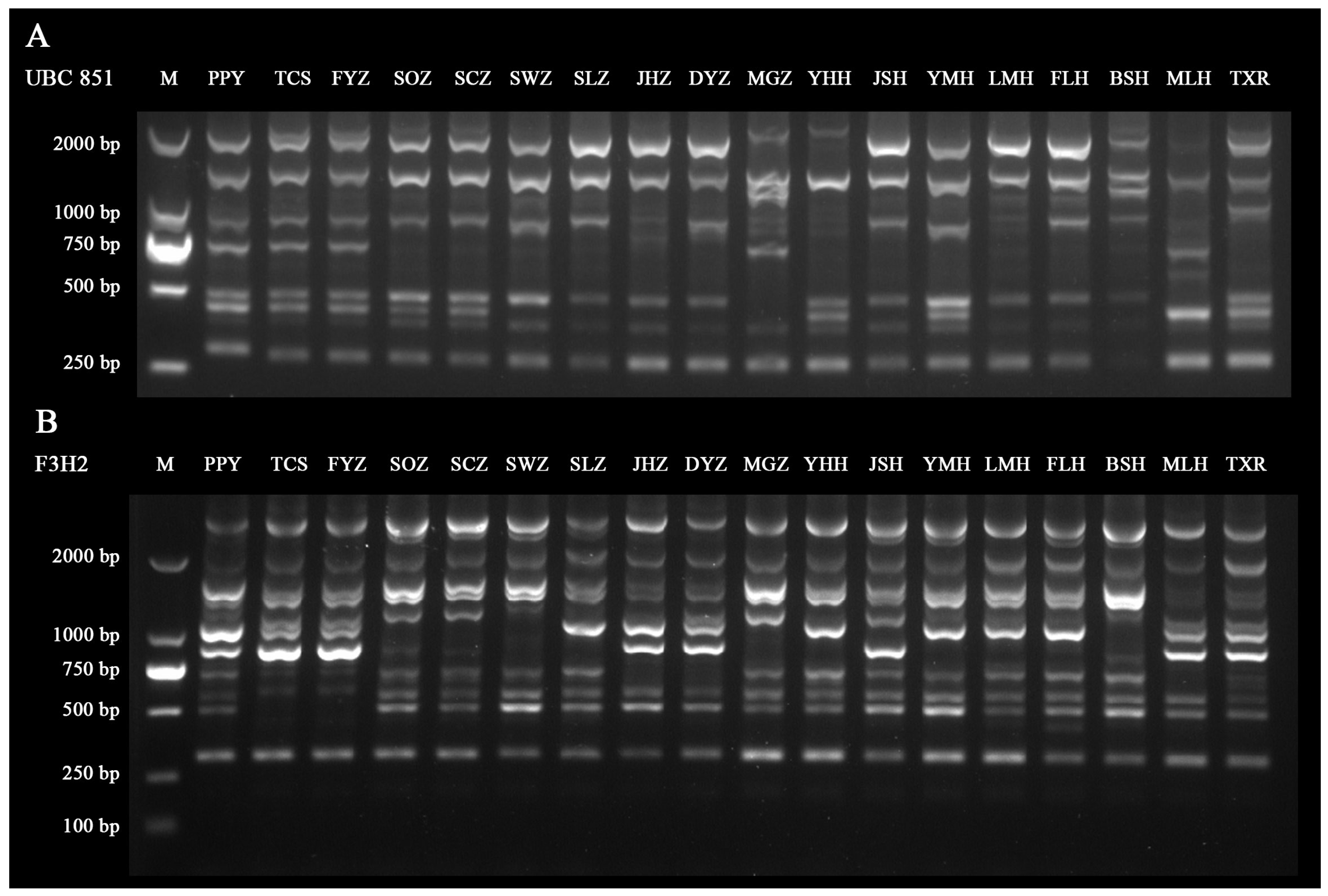 Horticulturae 10 01364 g004