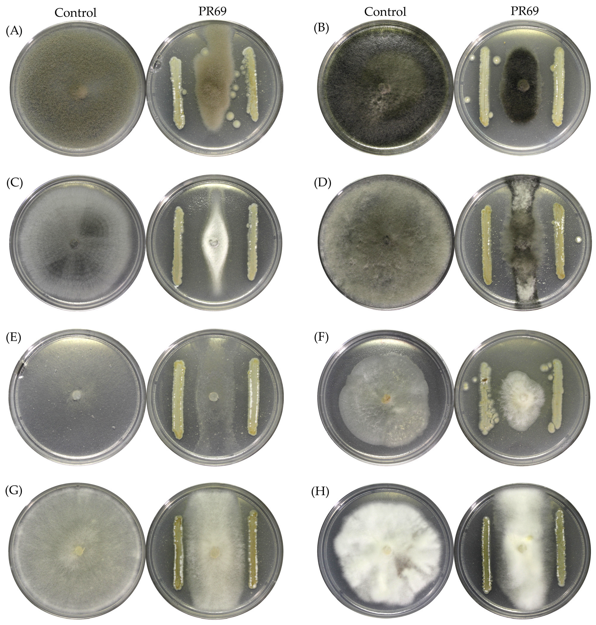 Horticulturae 10 01365 g002