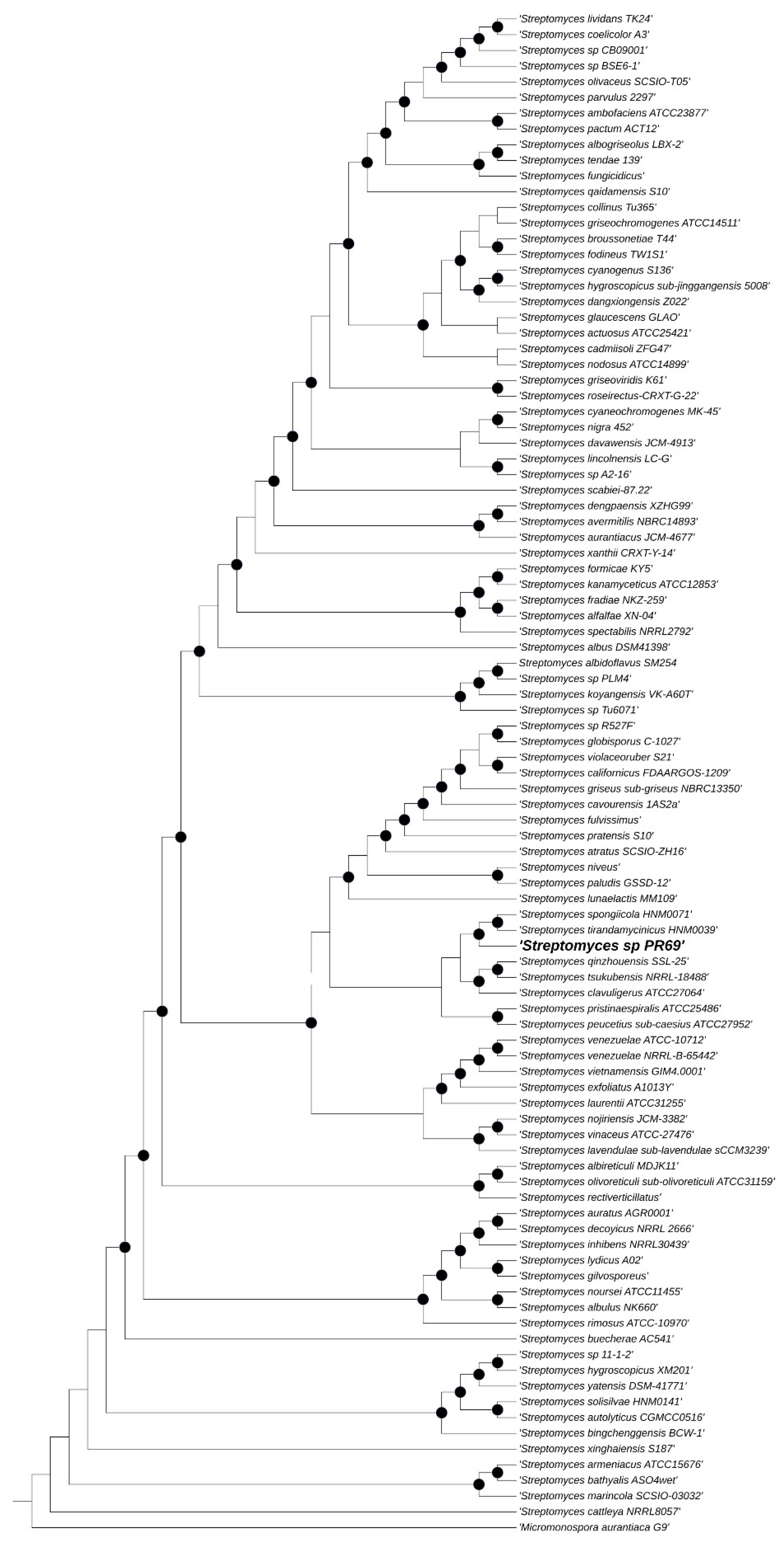 Horticulturae 10 01365 g004