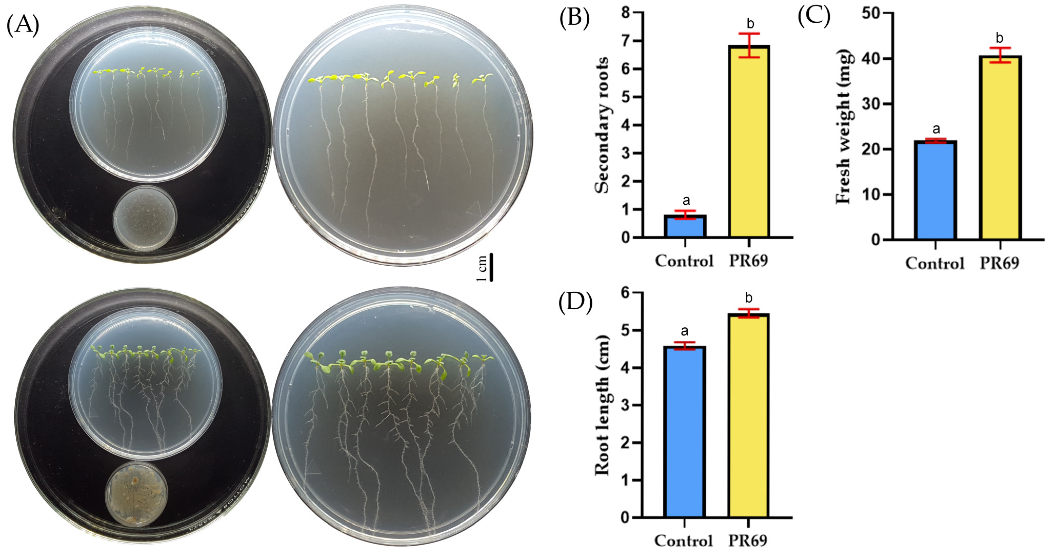 Horticulturae 10 01365 g005