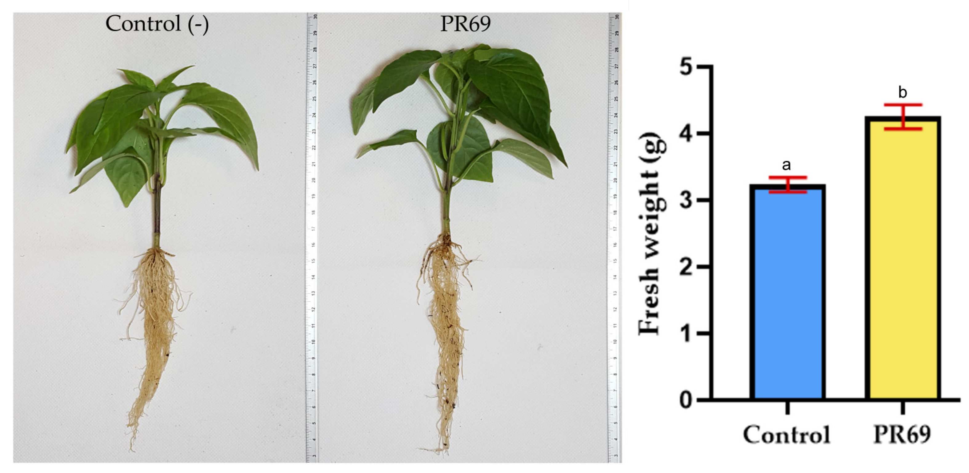 Horticulturae 10 01365 g008