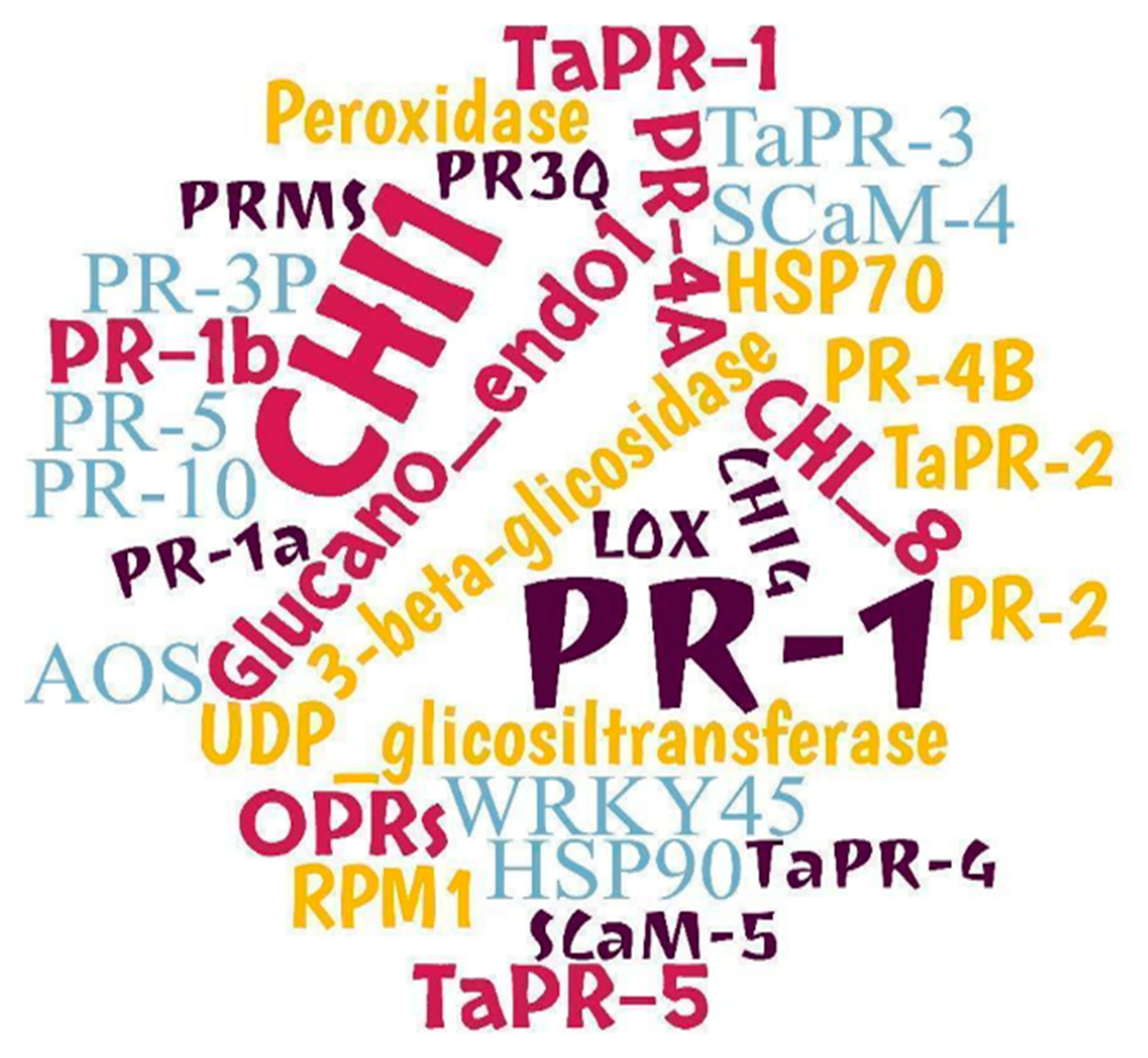 Horticulturae 10 01368 g007