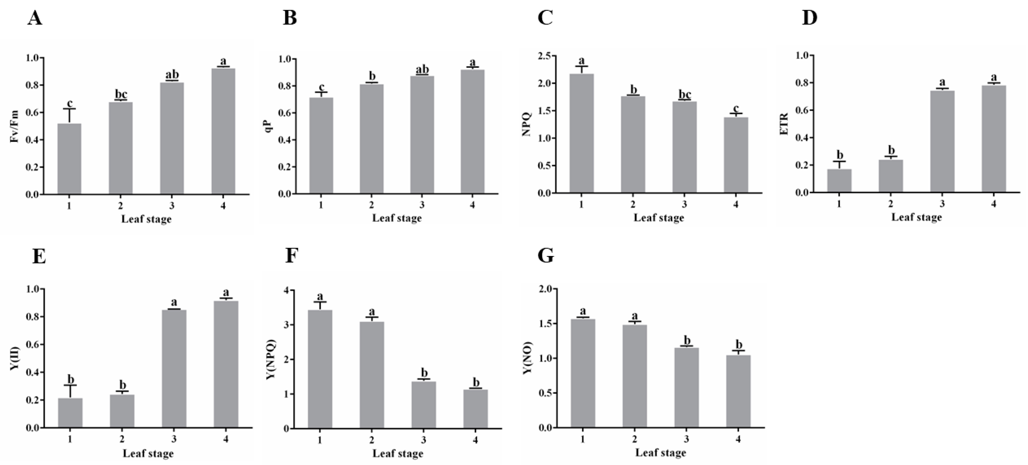 Horticulturae 10 01369 g005