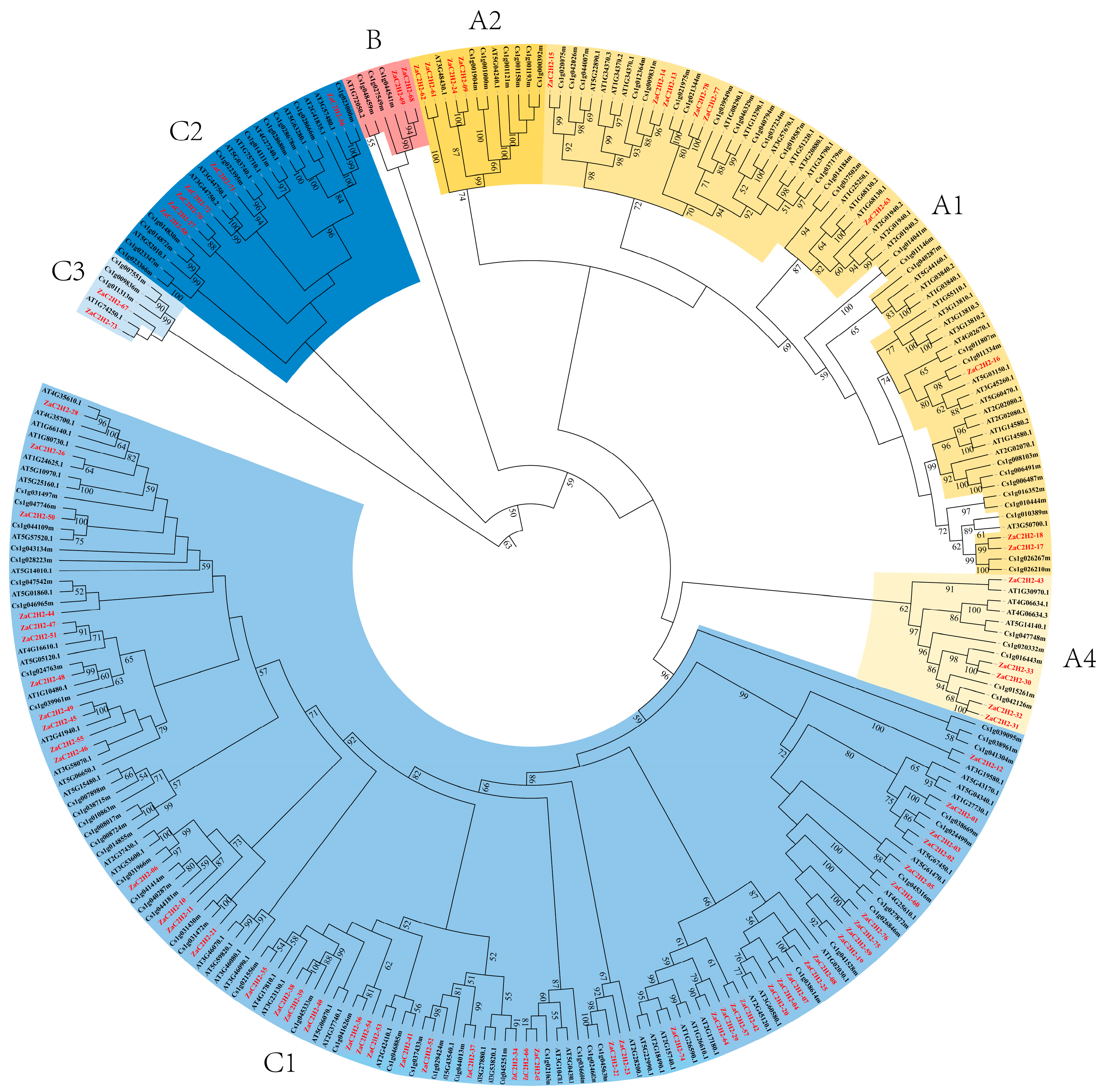 Horticulturae 10 01371 g001 Horticulturae 10 01371 g001