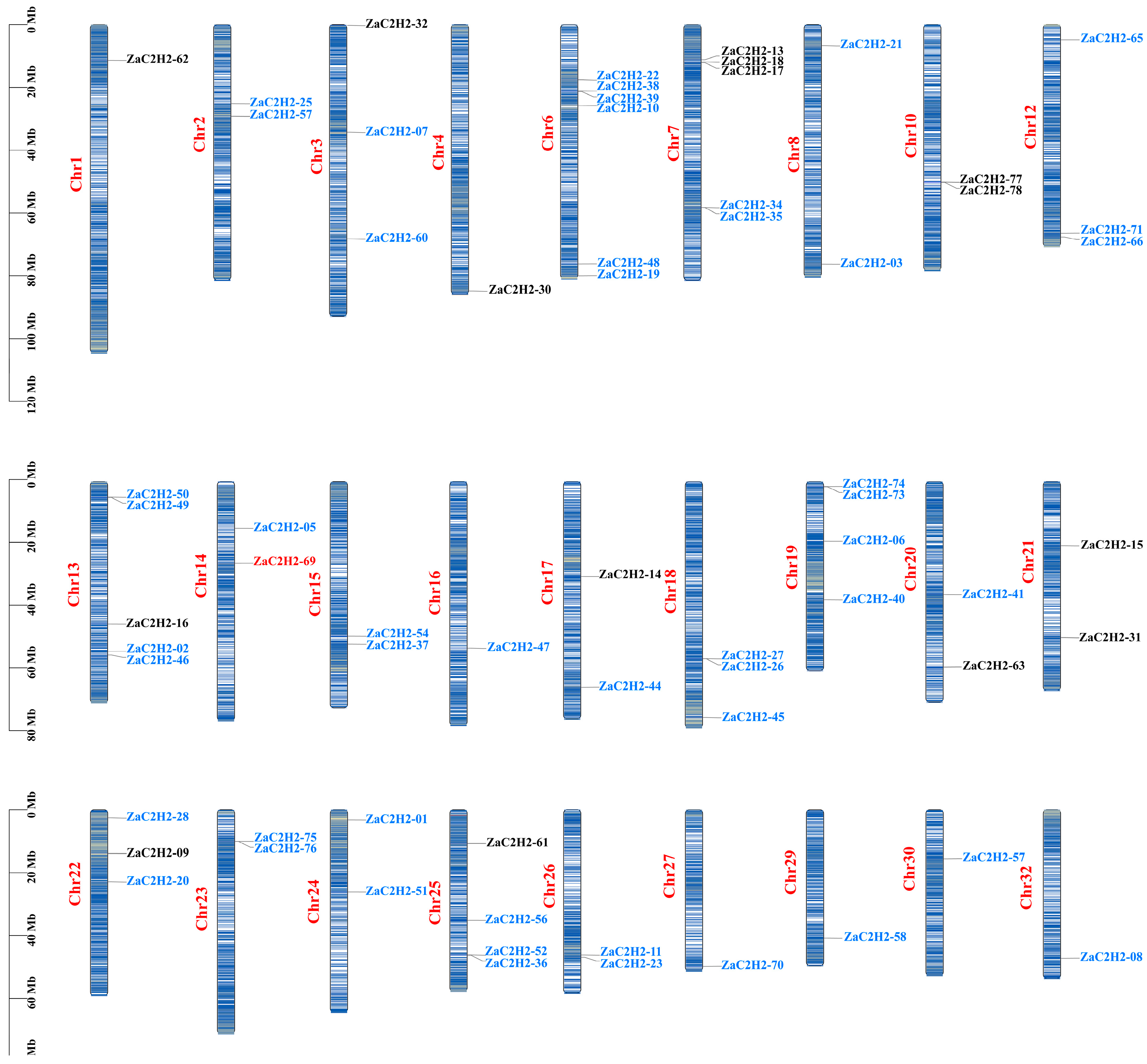 Horticulturae 10 01371 g002 Horticulturae 10 01371 g002