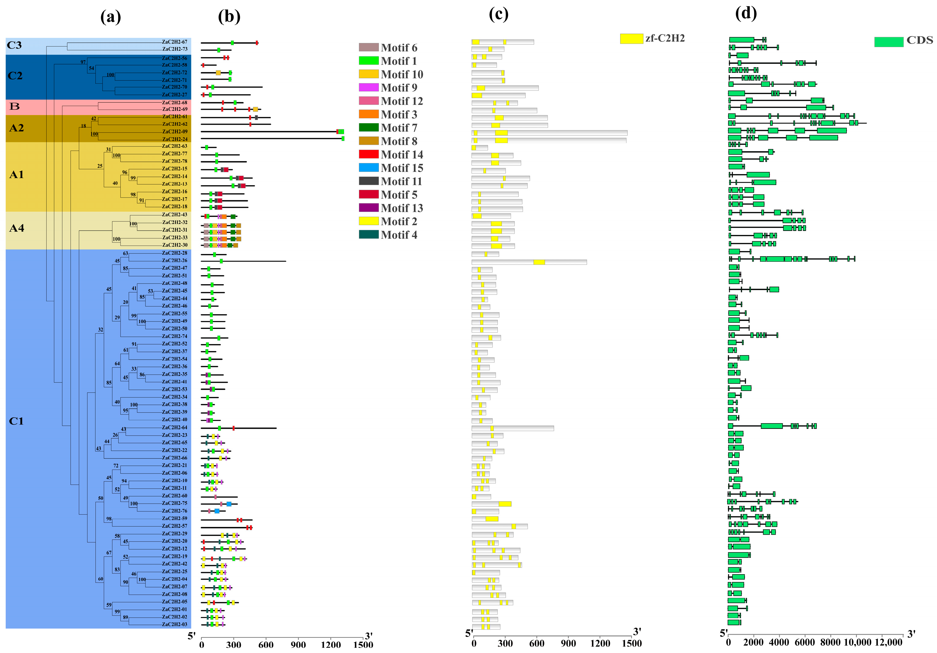 Horticulturae 10 01371 g003 Horticulturae 10 01371 g003