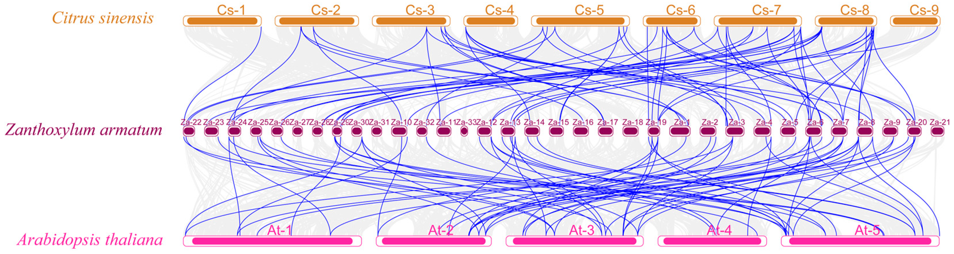Horticulturae 10 01371 g006 Horticulturae 10 01371 g006