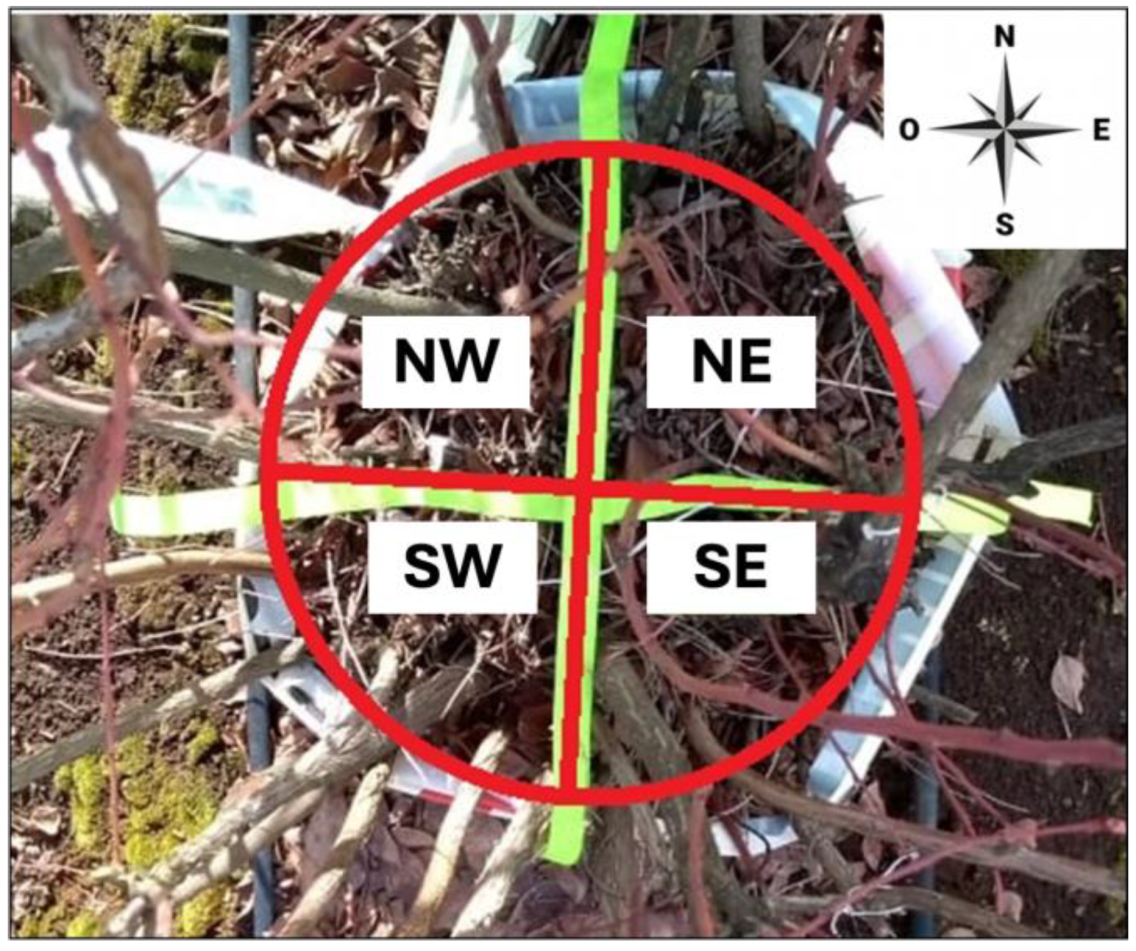 Horticulturae 10 01380 g001