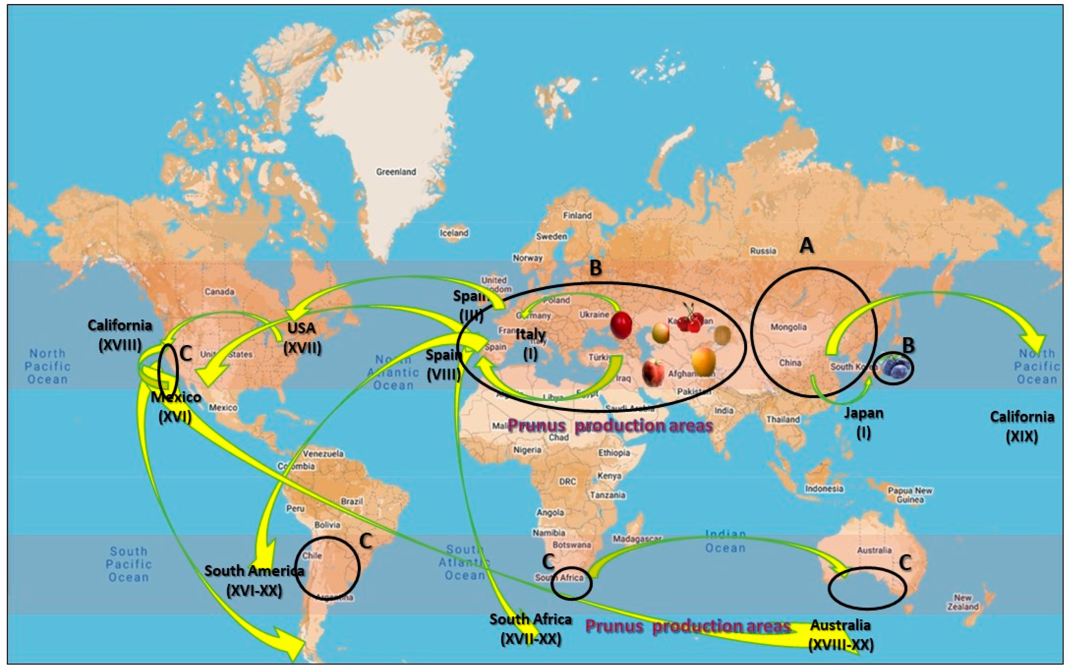 Horticulturae 10 01381 g002 Horticulturae 10 01381 g002