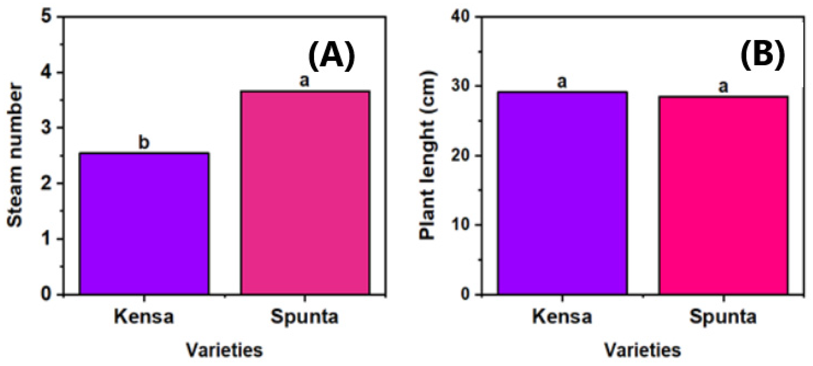 Horticulturae 11 00011 g002