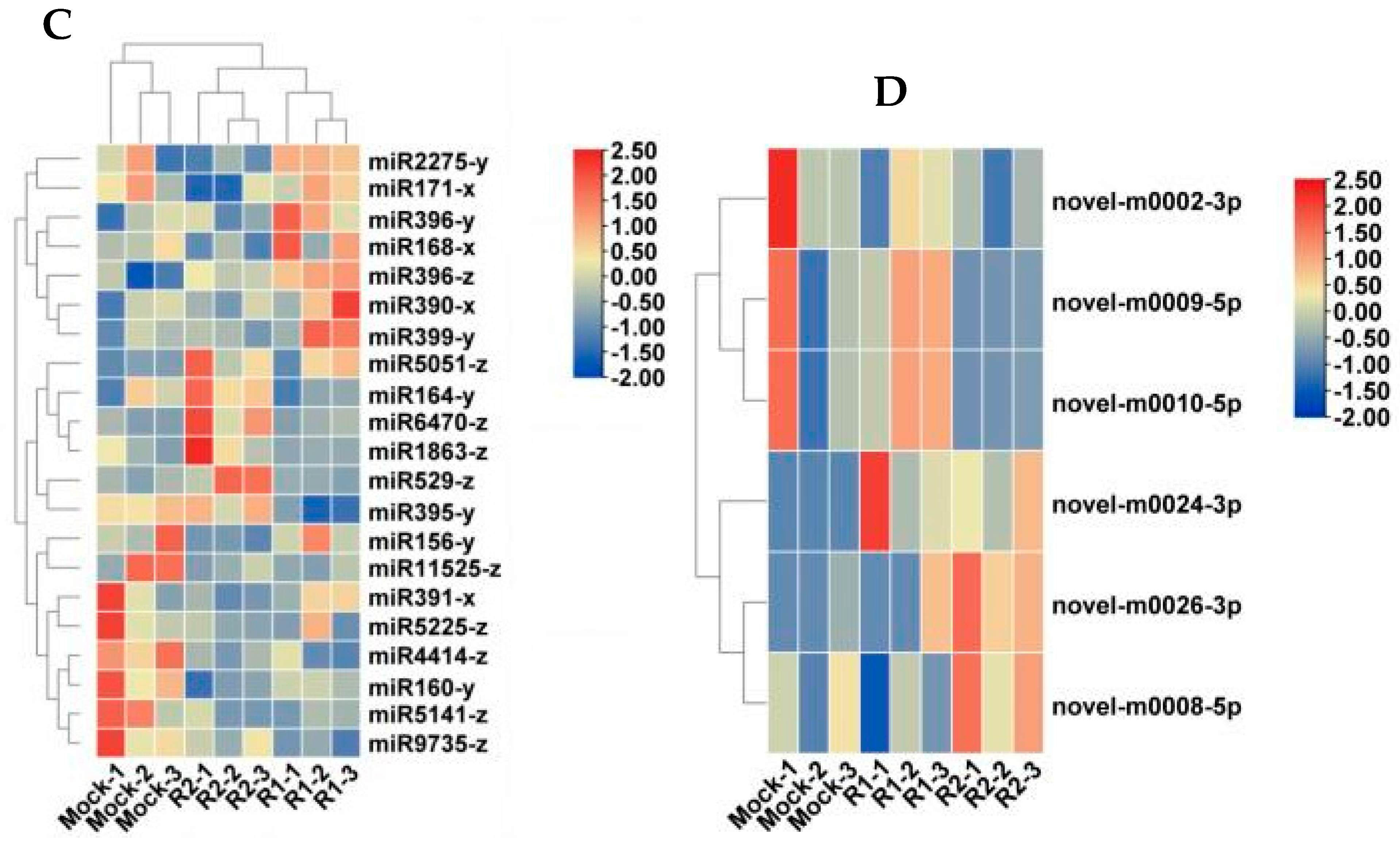 Horticulturae 11 00017 g003b