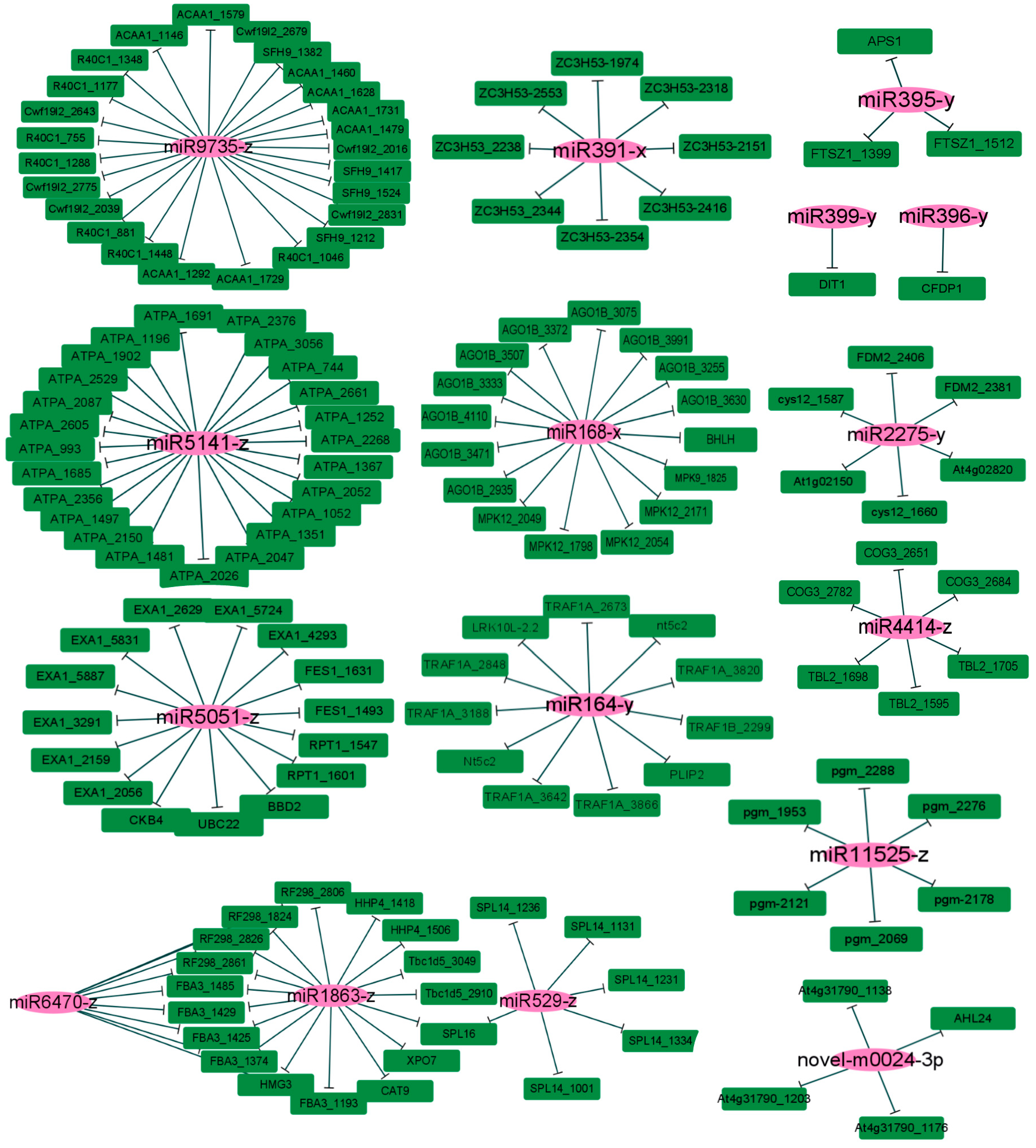 Horticulturae 11 00017 g004