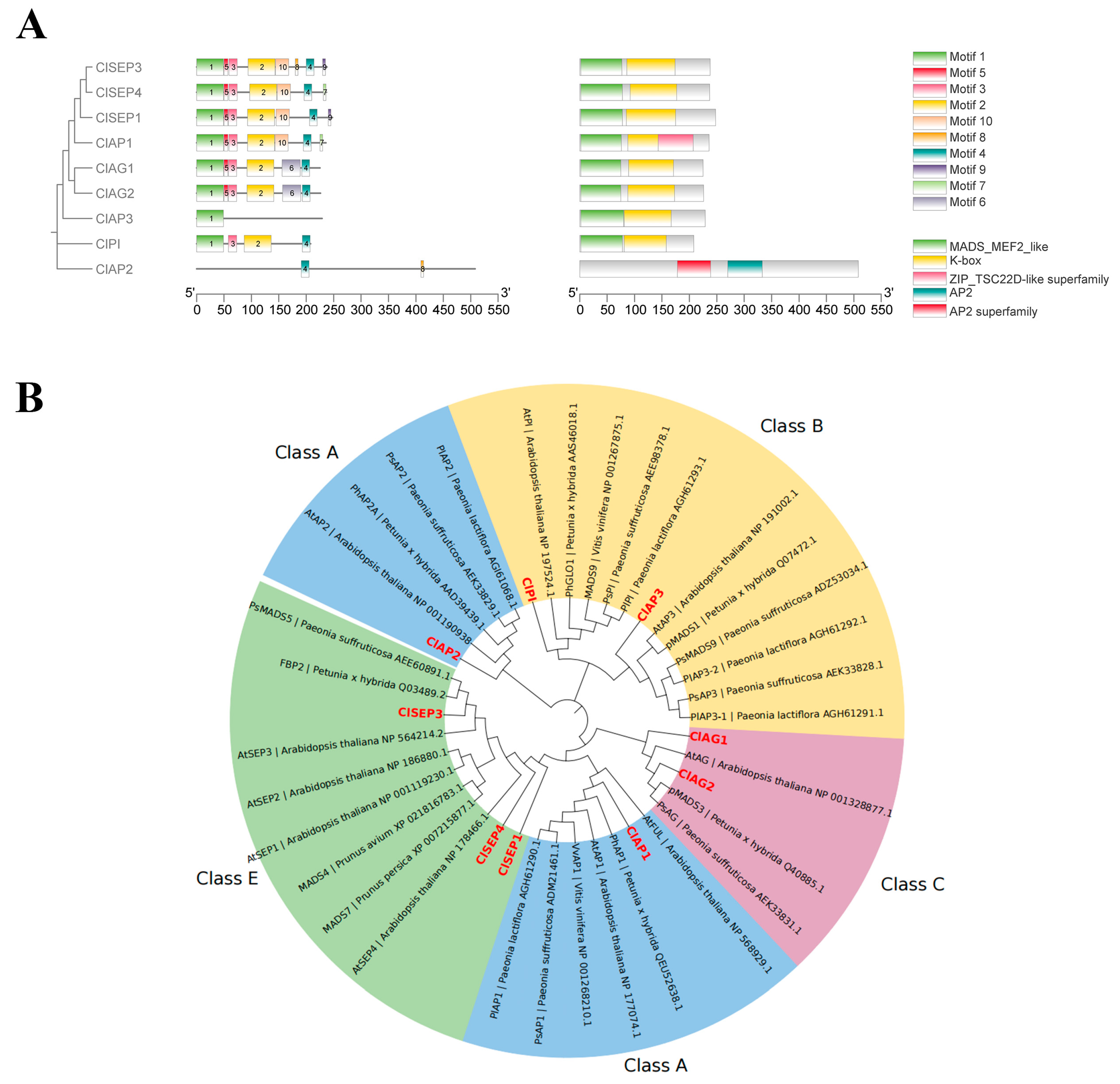 Horticulturae 11 00019 g002