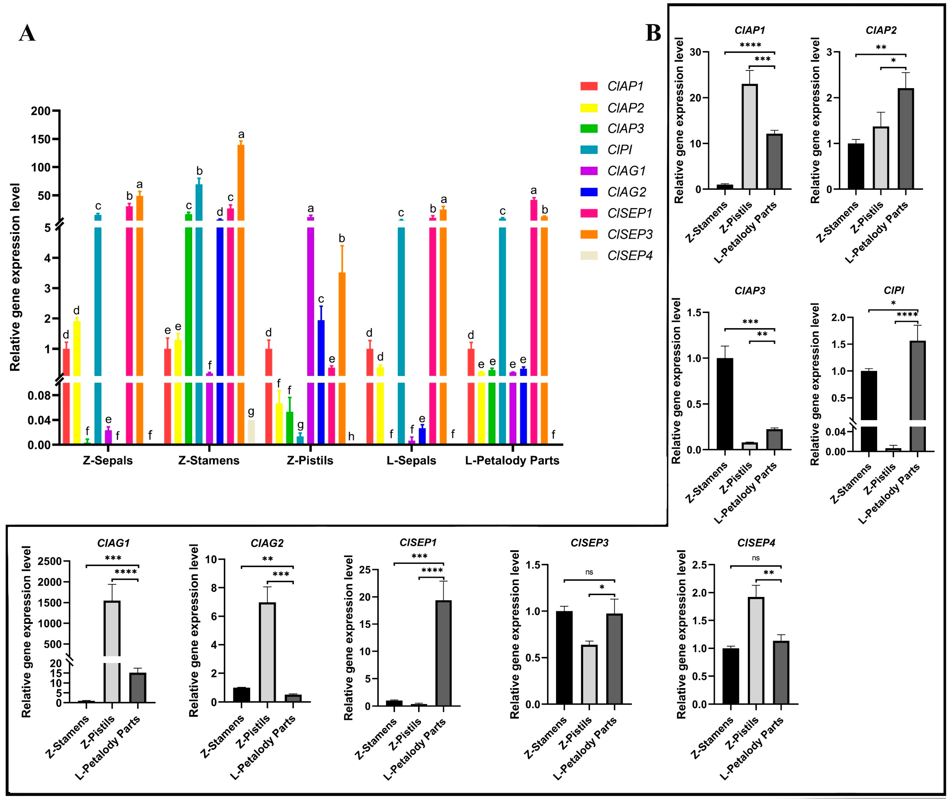 Horticulturae 11 00019 g003