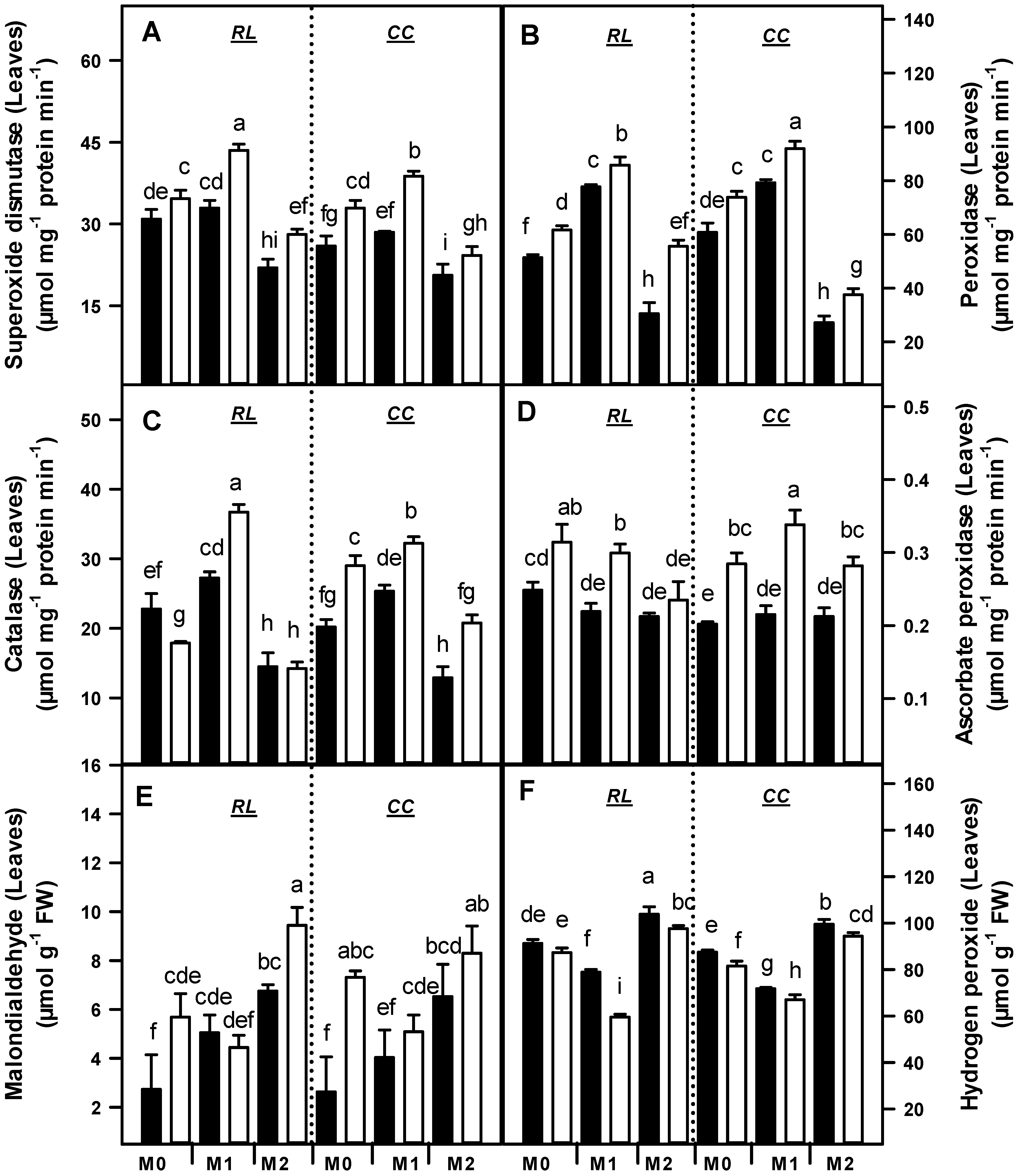 Horticulturae 11 00024 g003
