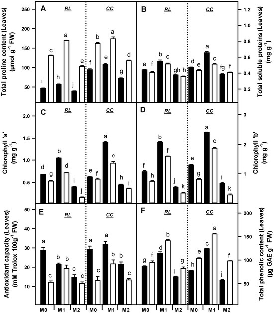 Rooting for Resilience: Arbuscular Mycorrhizal Fungi (AMF