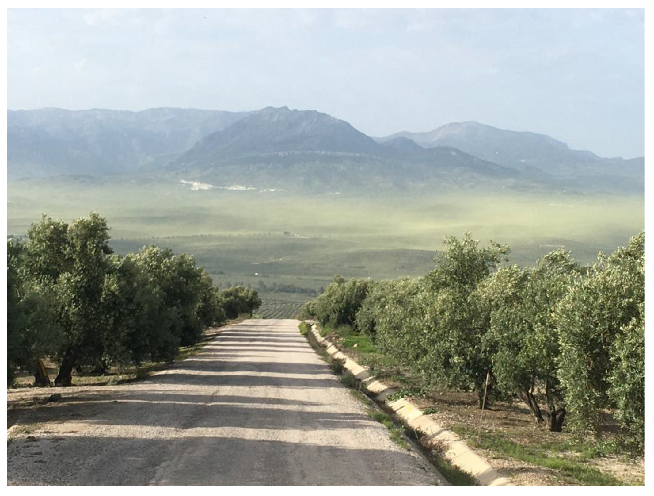 Horticulturae 11 00026 g003