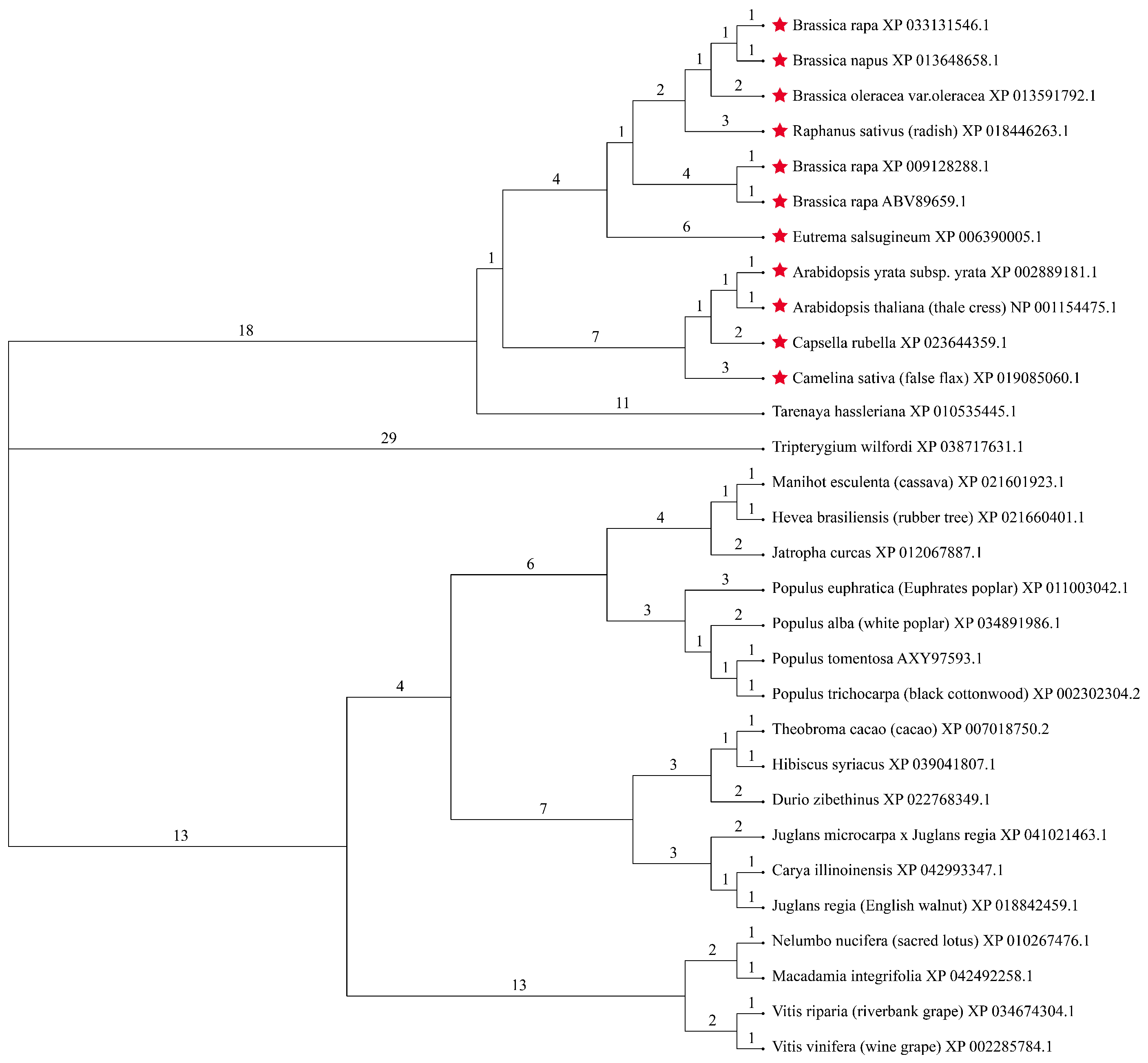 Horticulturae 11 00033 g002 Horticulturae 11 00033 g002
