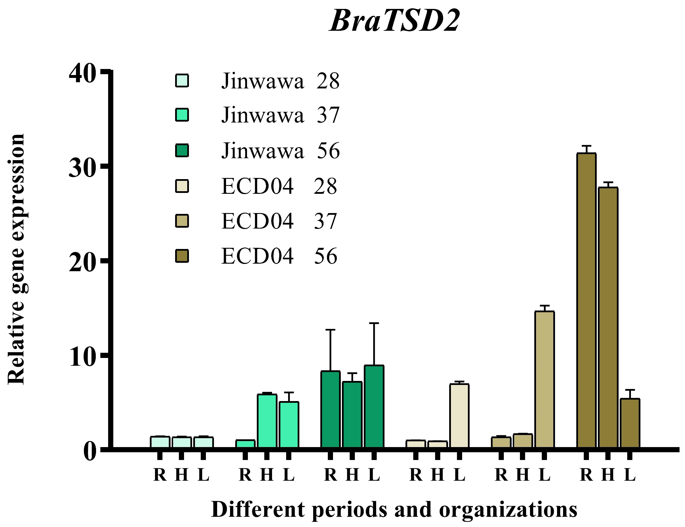 Horticulturae 11 00033 g007 Horticulturae 11 00033 g007