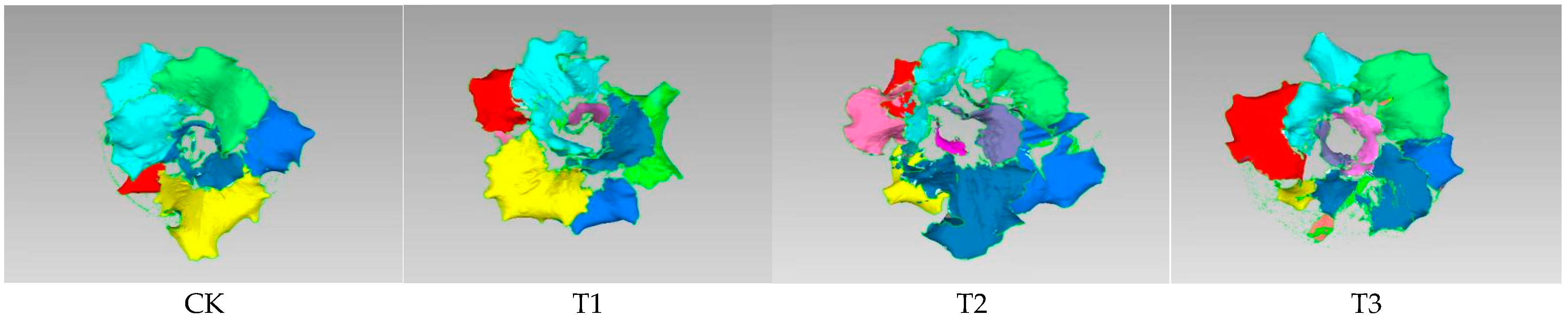 Horticulturae 11 00043 g002