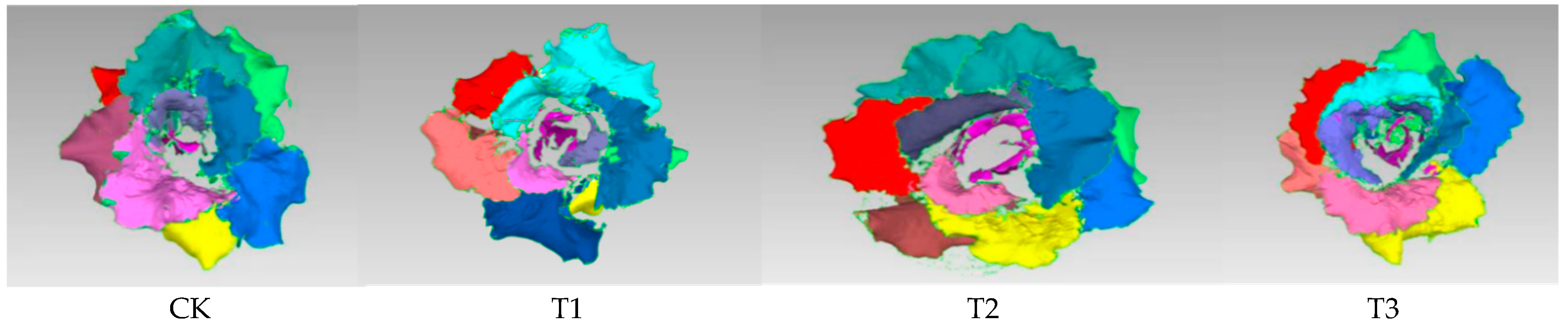 Horticulturae 11 00043 g003