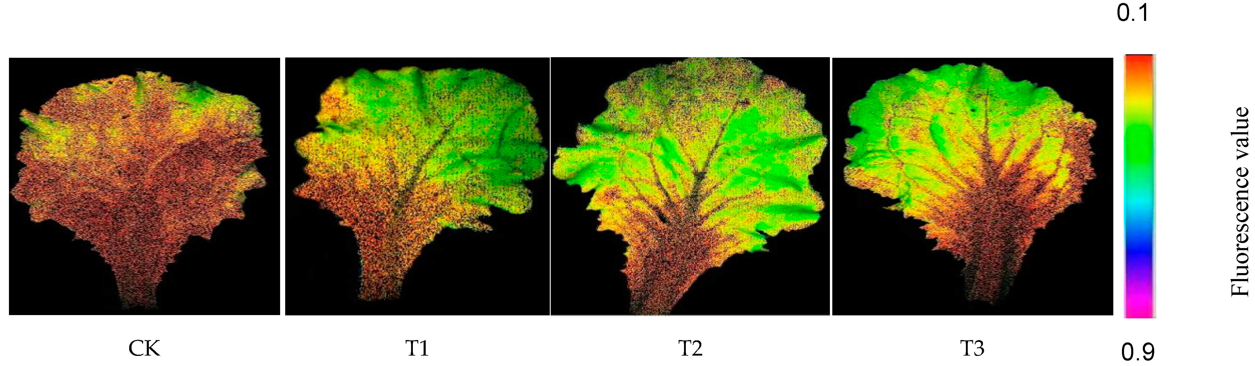 Horticulturae 11 00043 g011