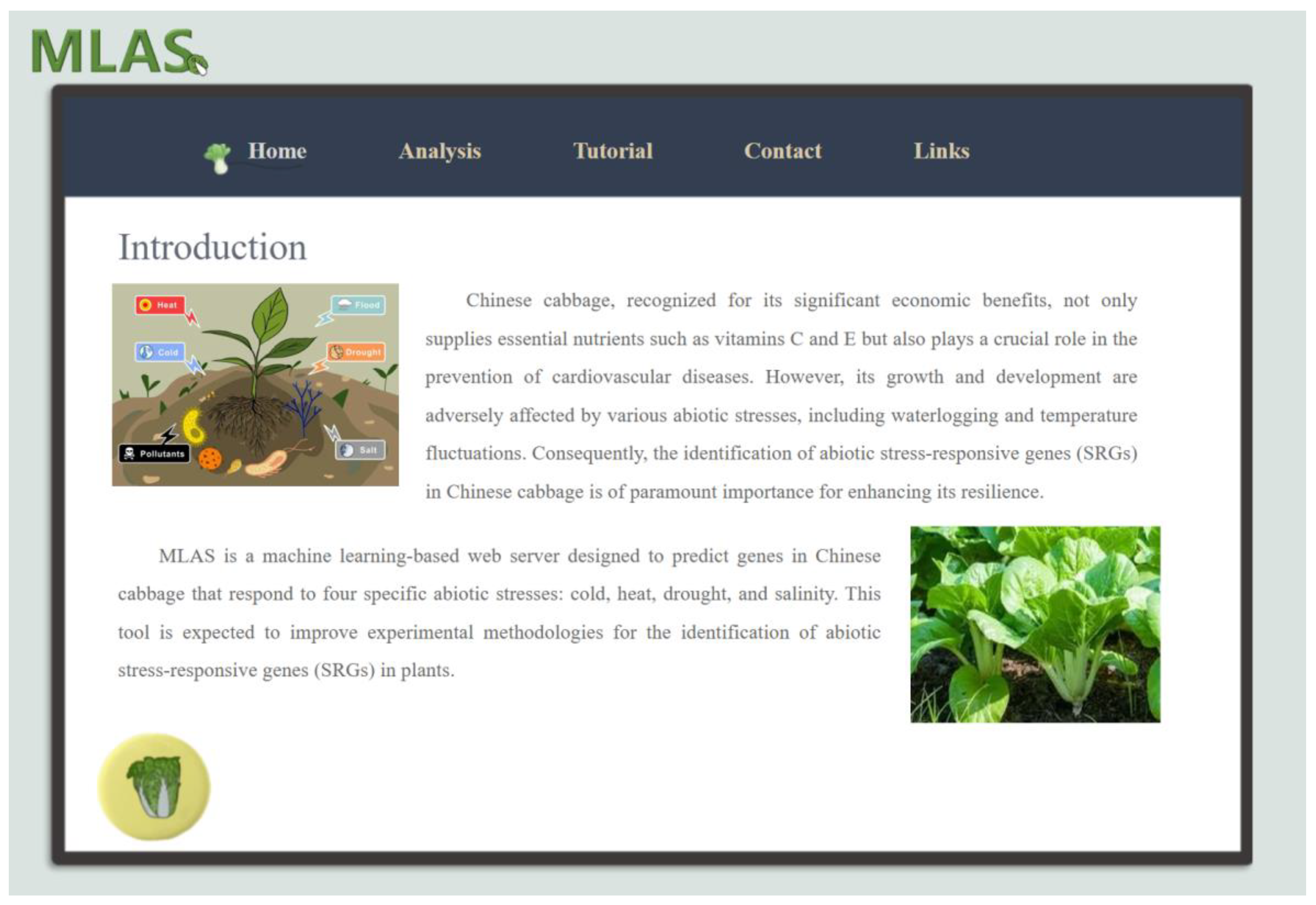 Horticulturae 11 00044 g009