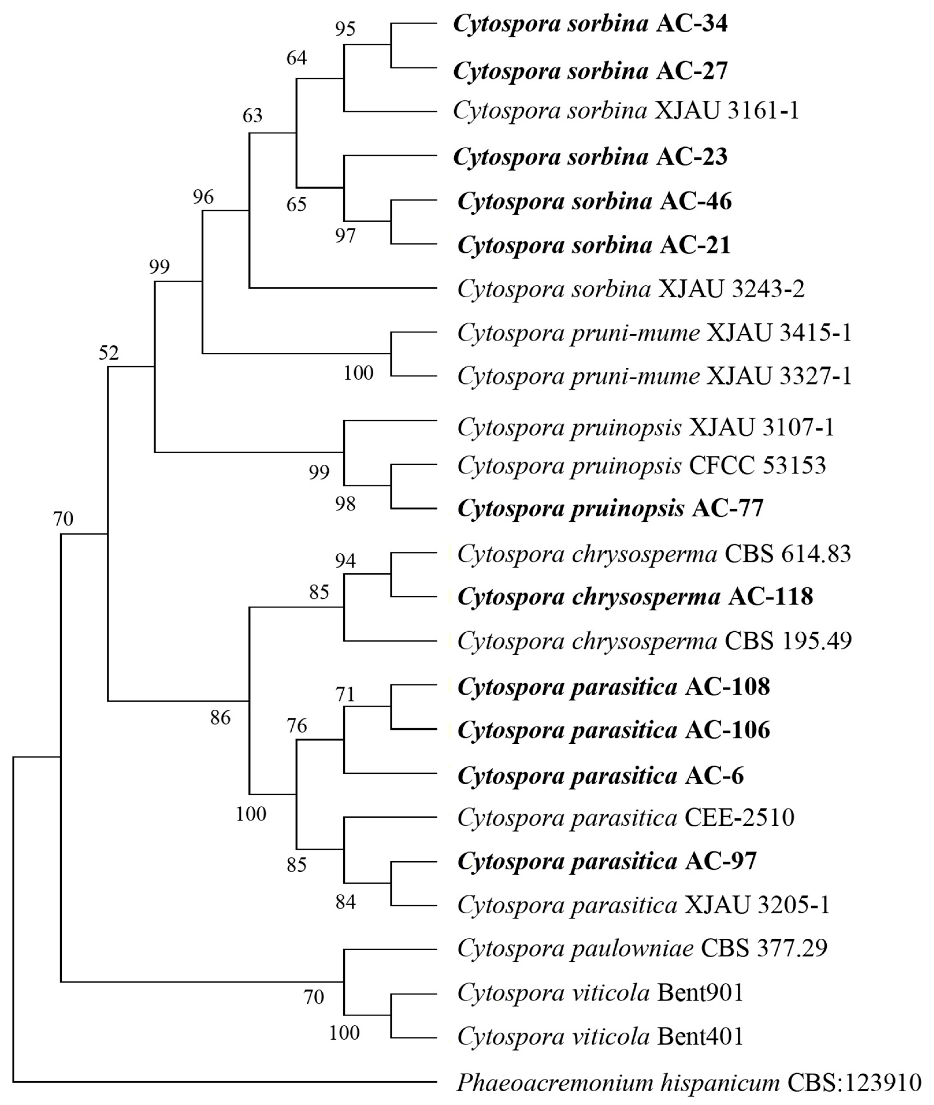 Horticulturae 11 00045 g006