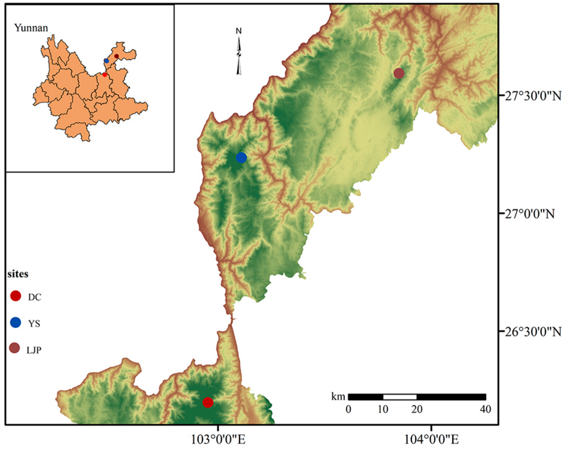 Horticulturae 11 00051 g001