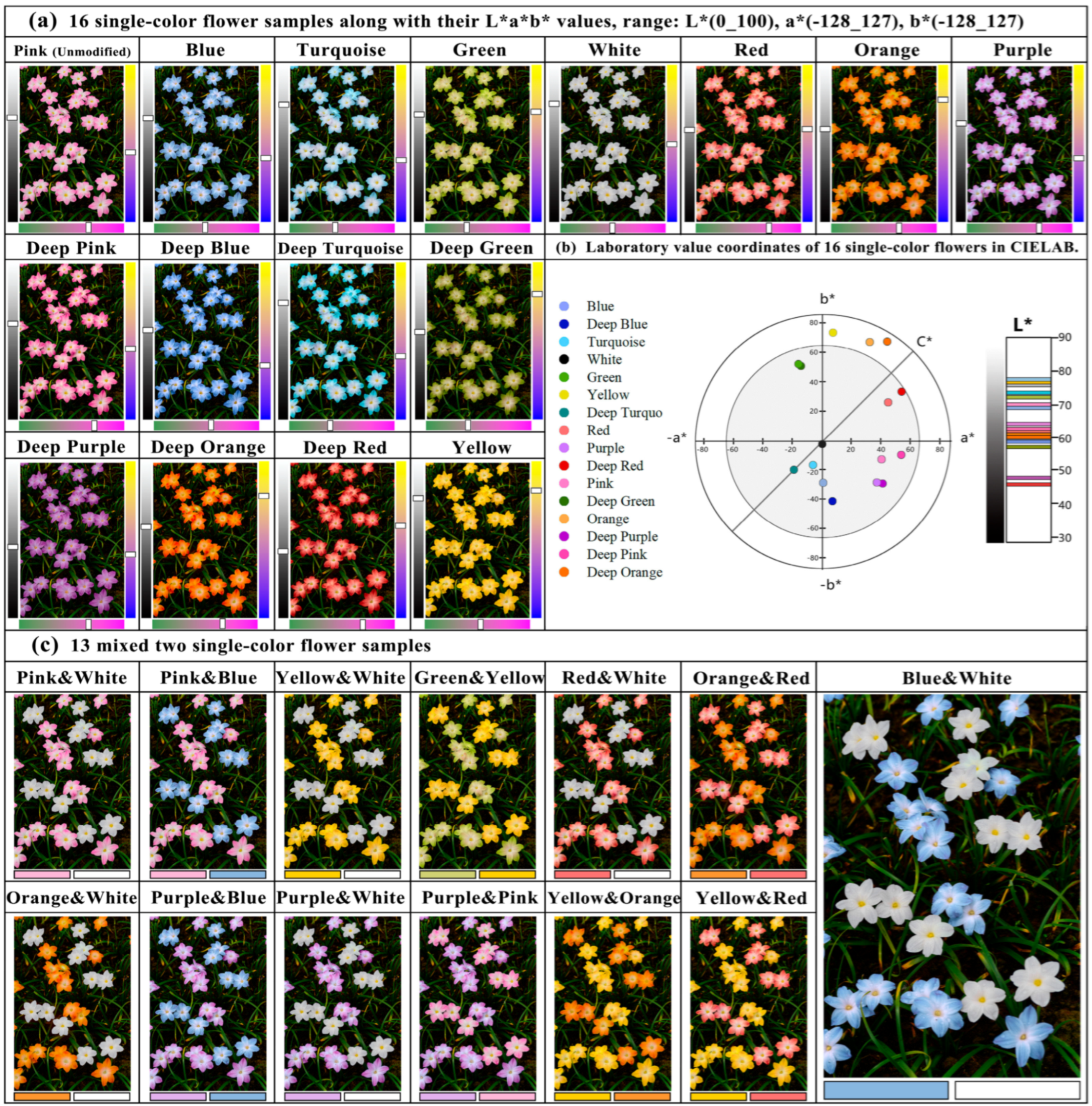 Horticulturae 11 00054 g002