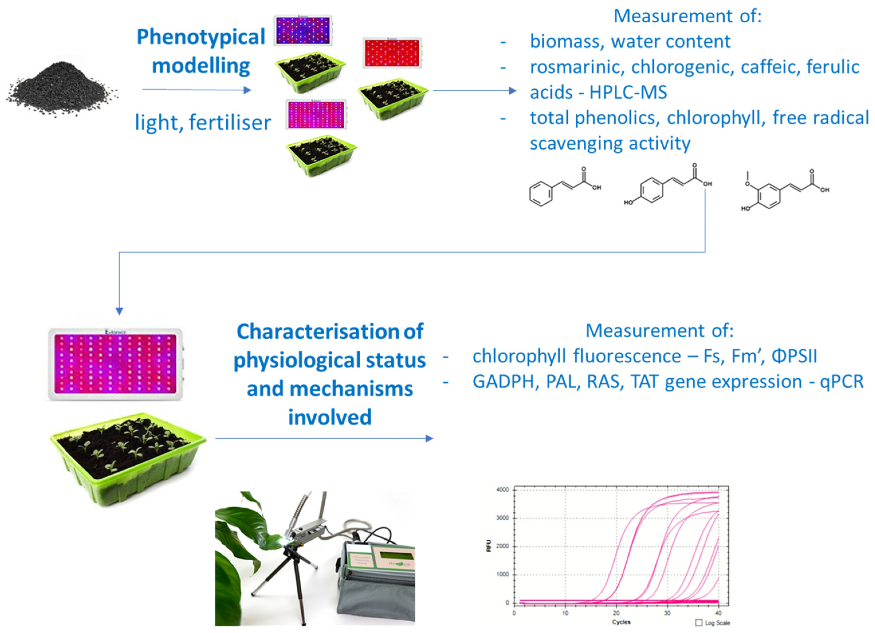 Horticulturae 11 00056 g001