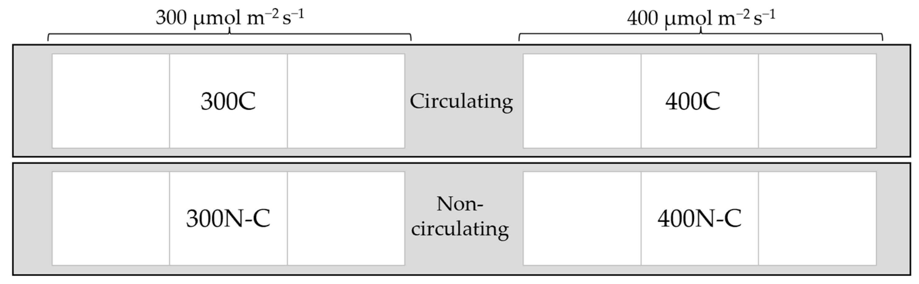 Horticulturae 11 00075 g001