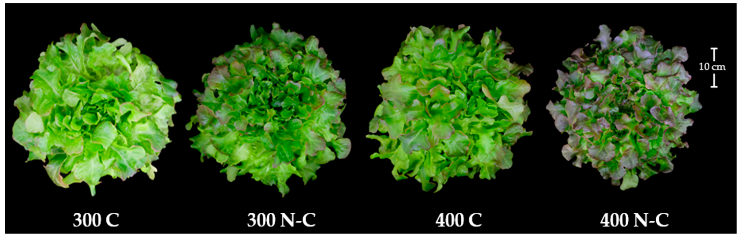 Horticulturae 11 00075 g002