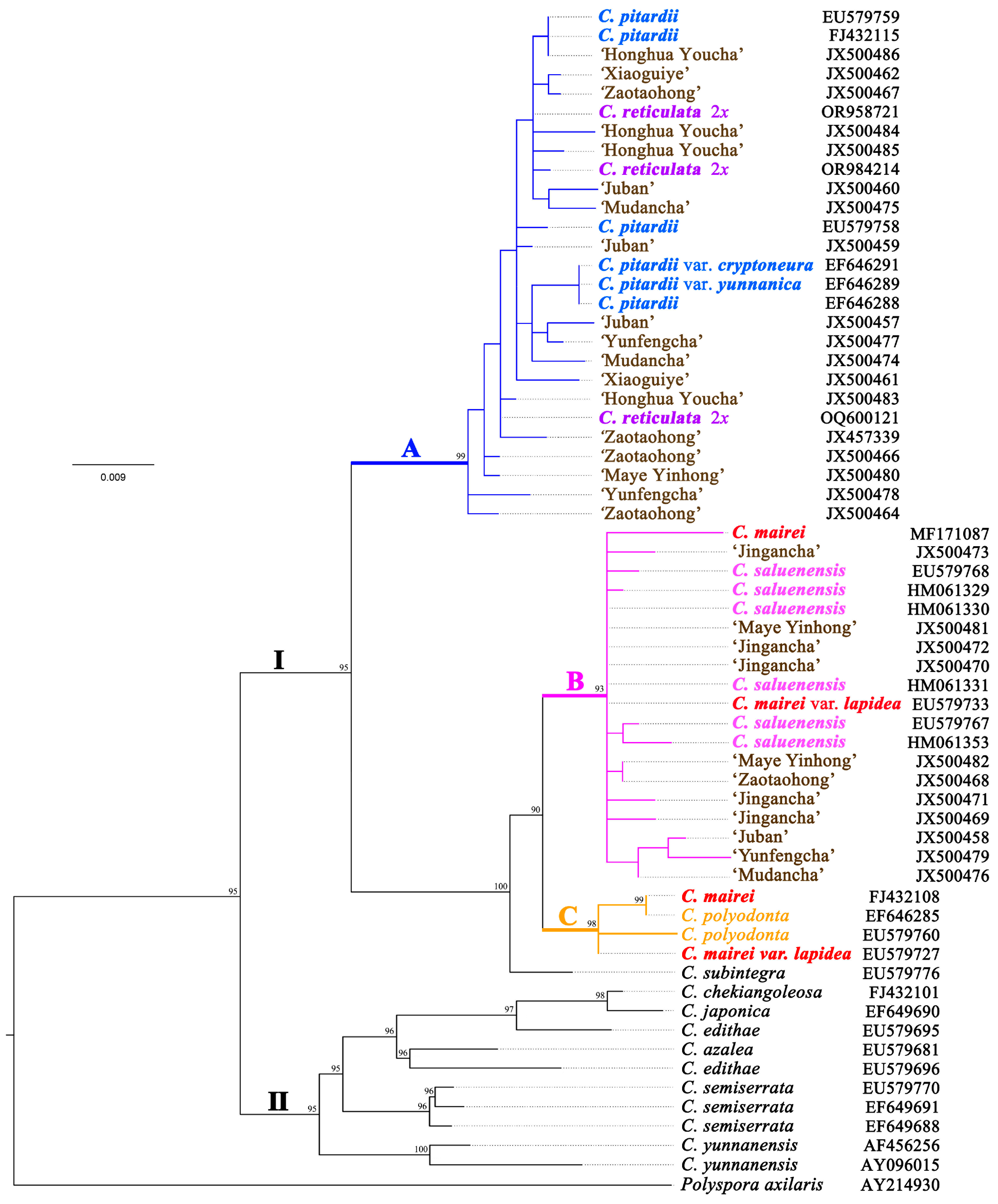 Horticulturae 11 00085 g002 Horticulturae 11 00085 g002