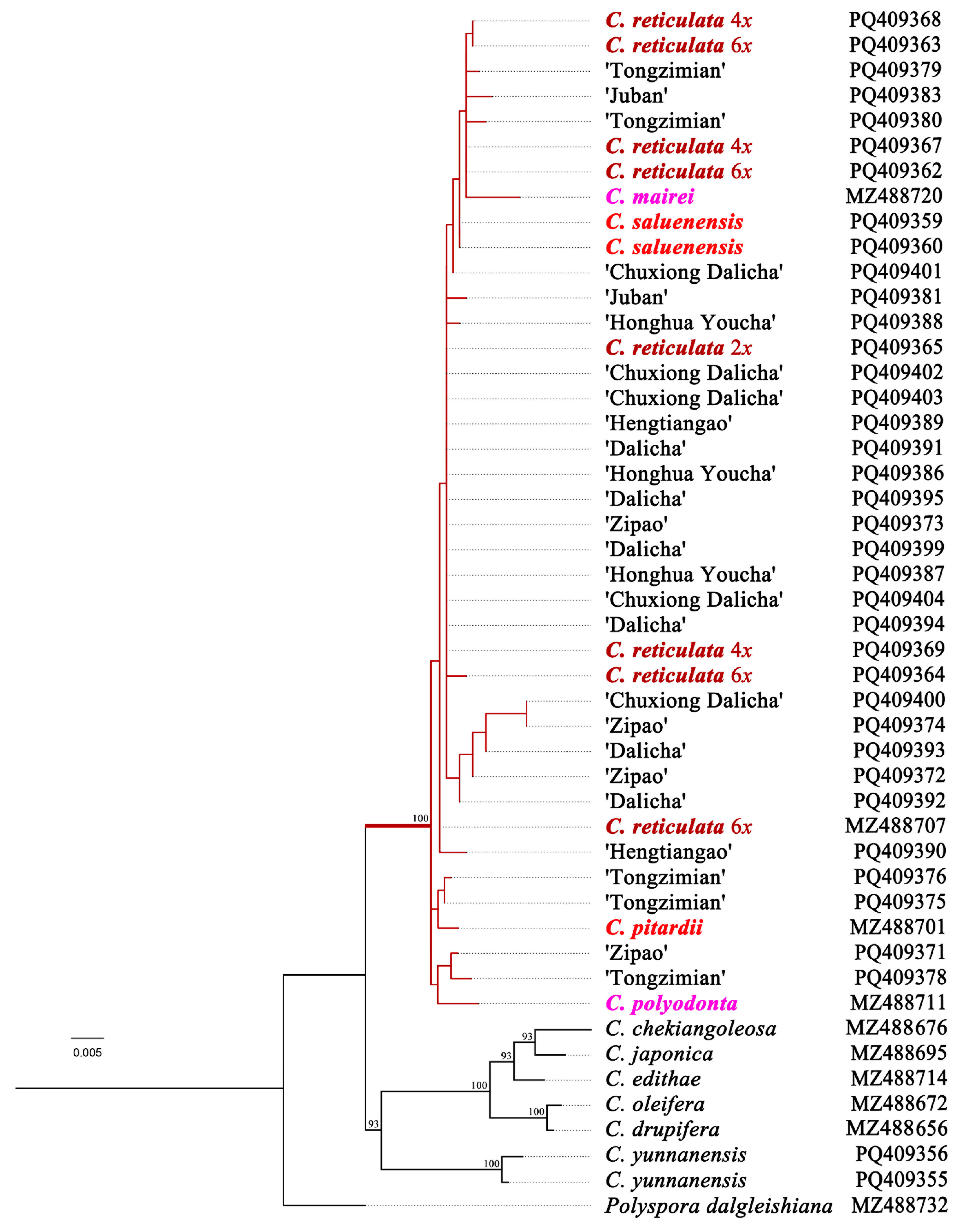 Horticulturae 11 00085 g003 Horticulturae 11 00085 g003