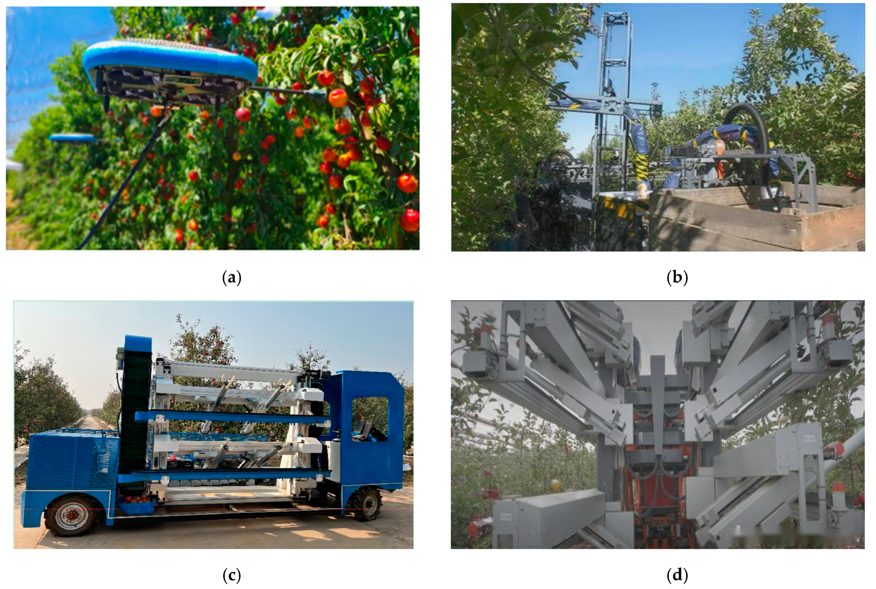 Horticulturae 11 00090 g004