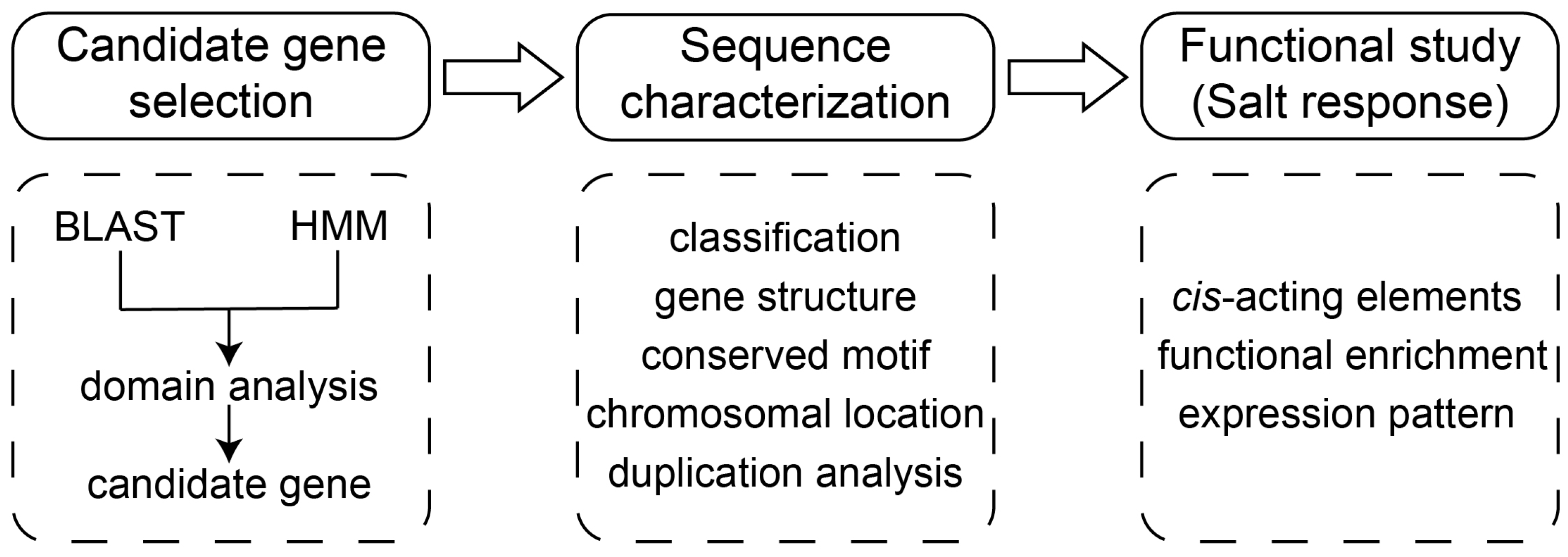 Horticulturae 11 00095 g001