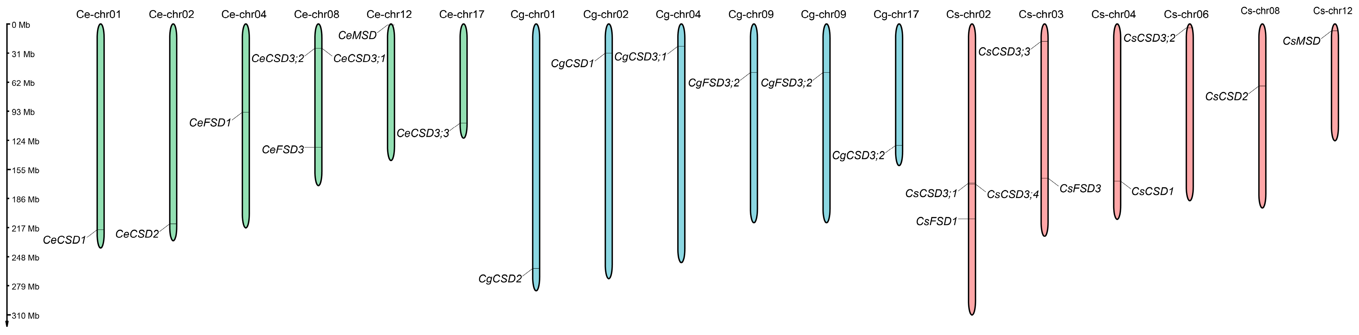 Horticulturae 11 00095 g005