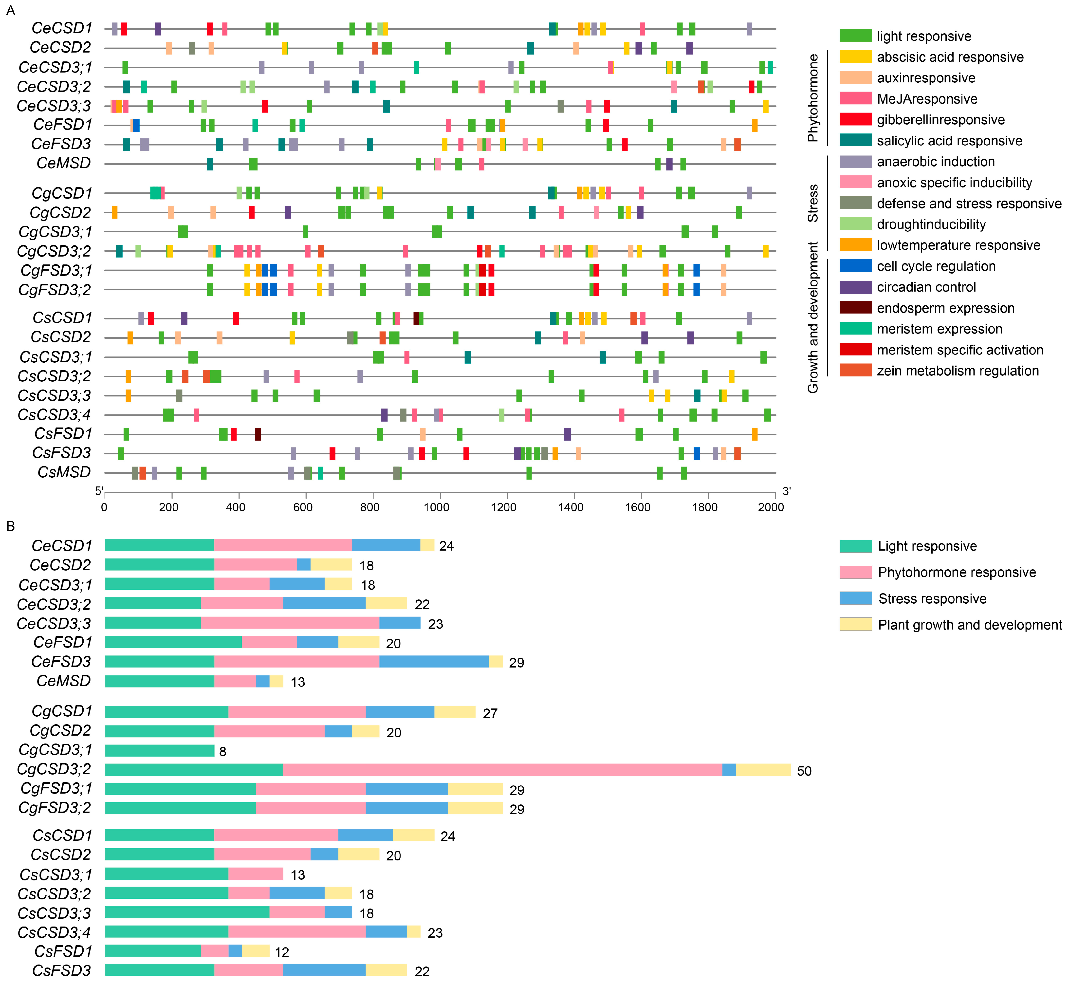 Horticulturae 11 00095 g007