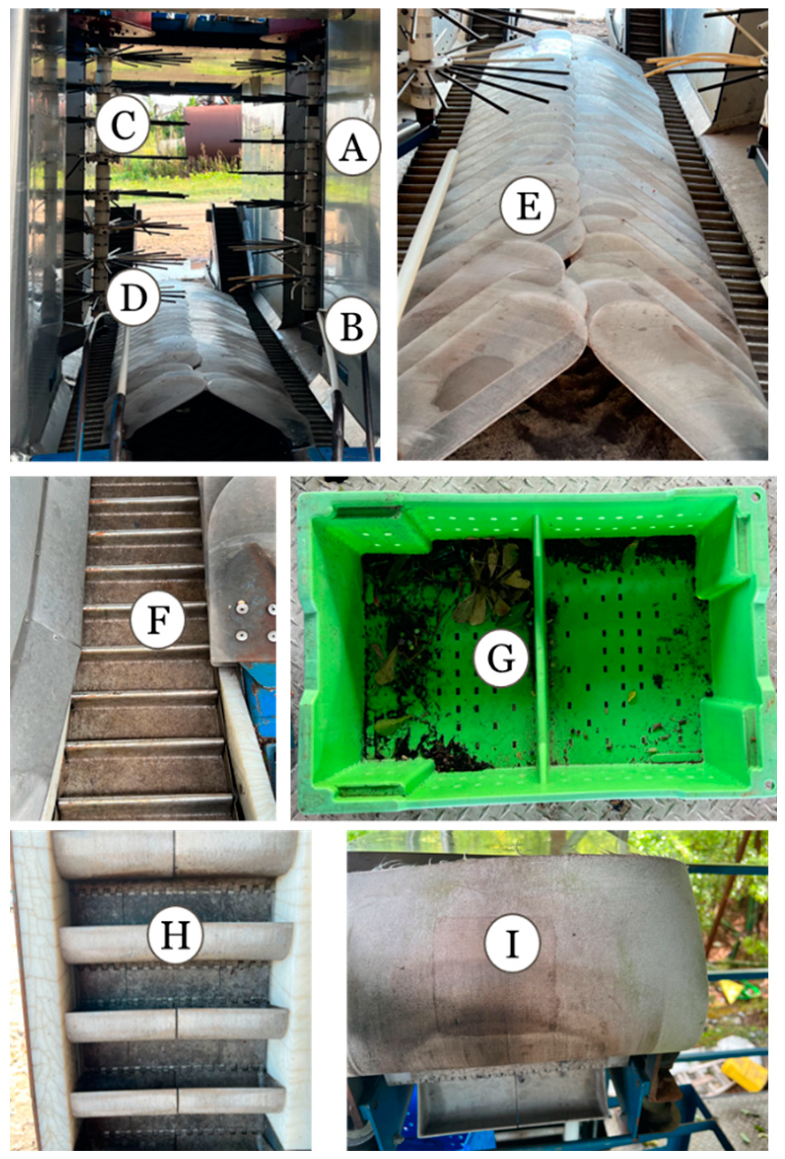 Horticulturae 11 00103 g001