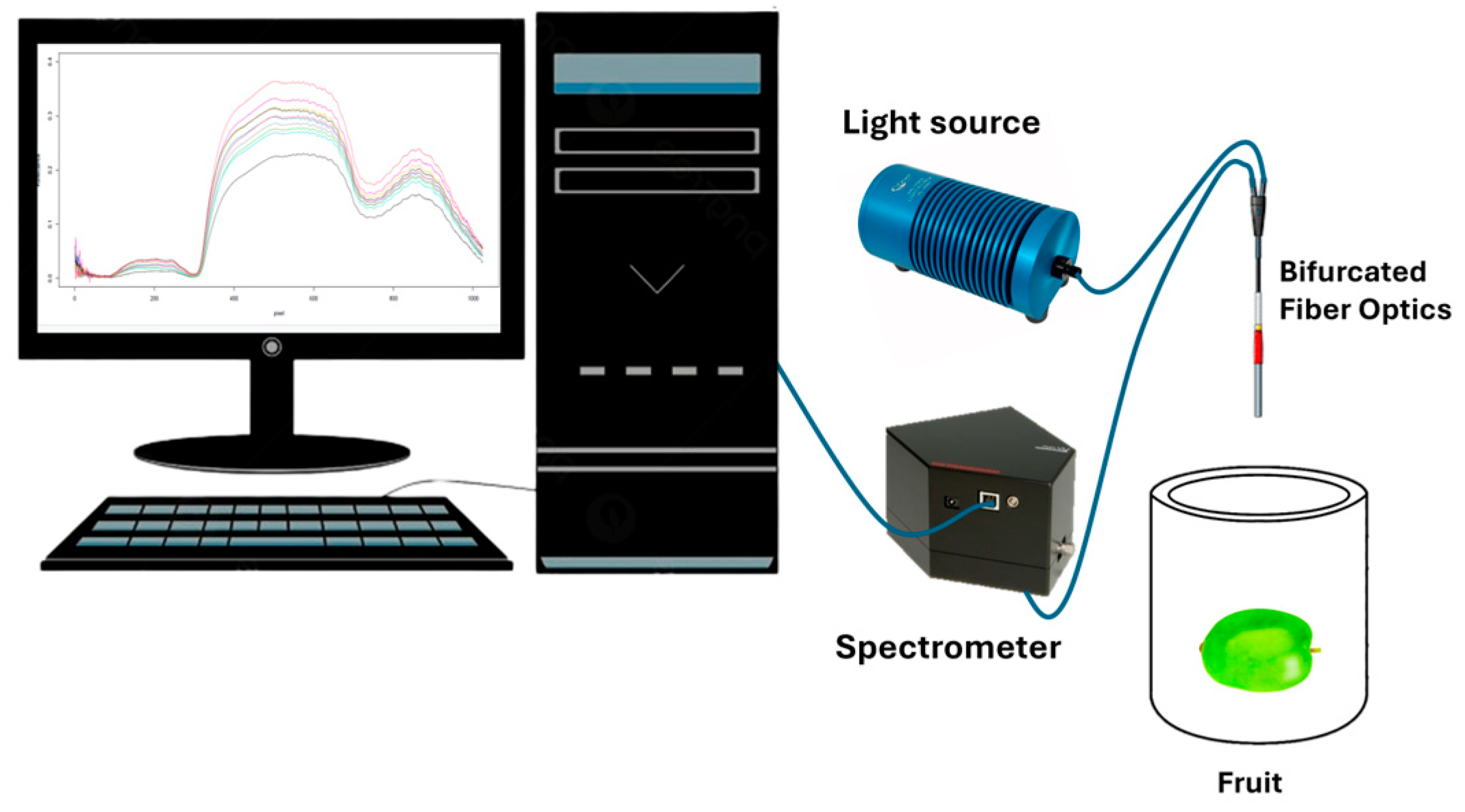 Horticulturae 11 00105 g001