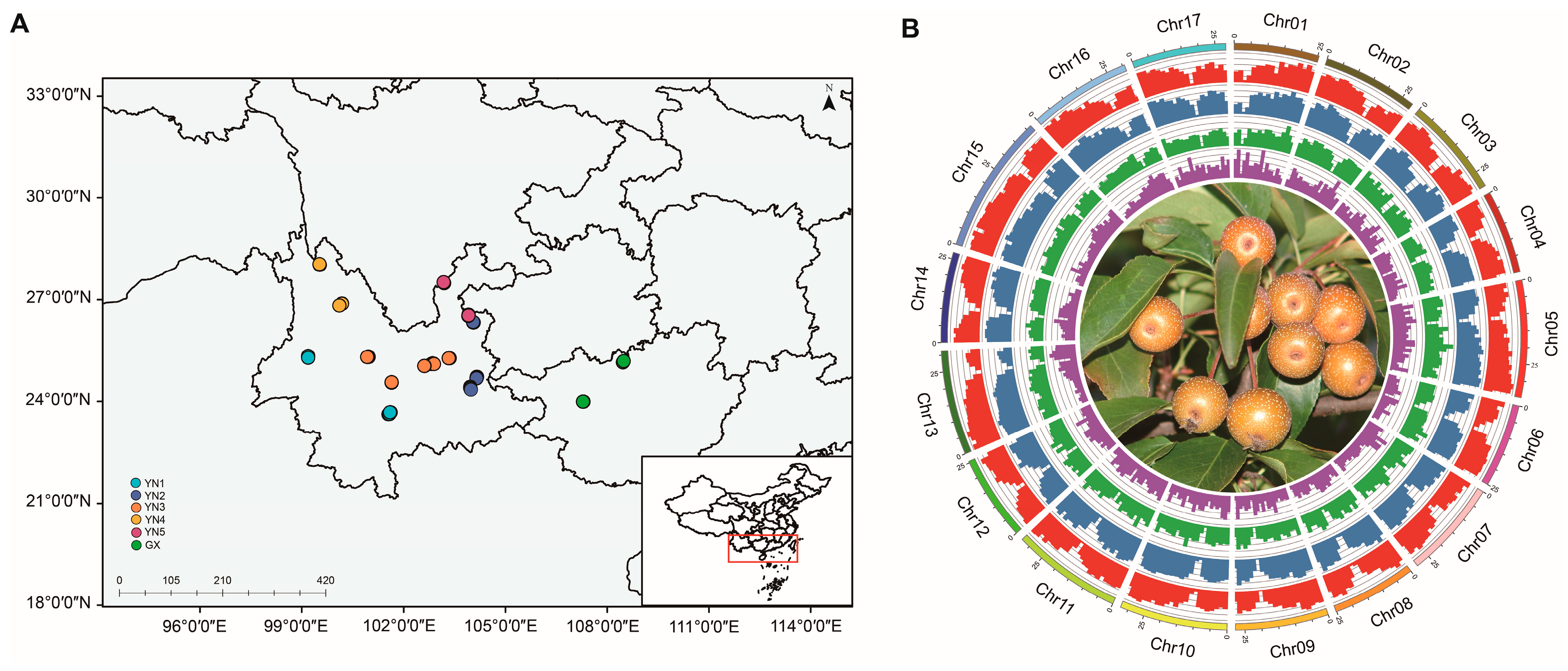 Horticulturae 11 00106 g002 Horticulturae 11 00106 g002
