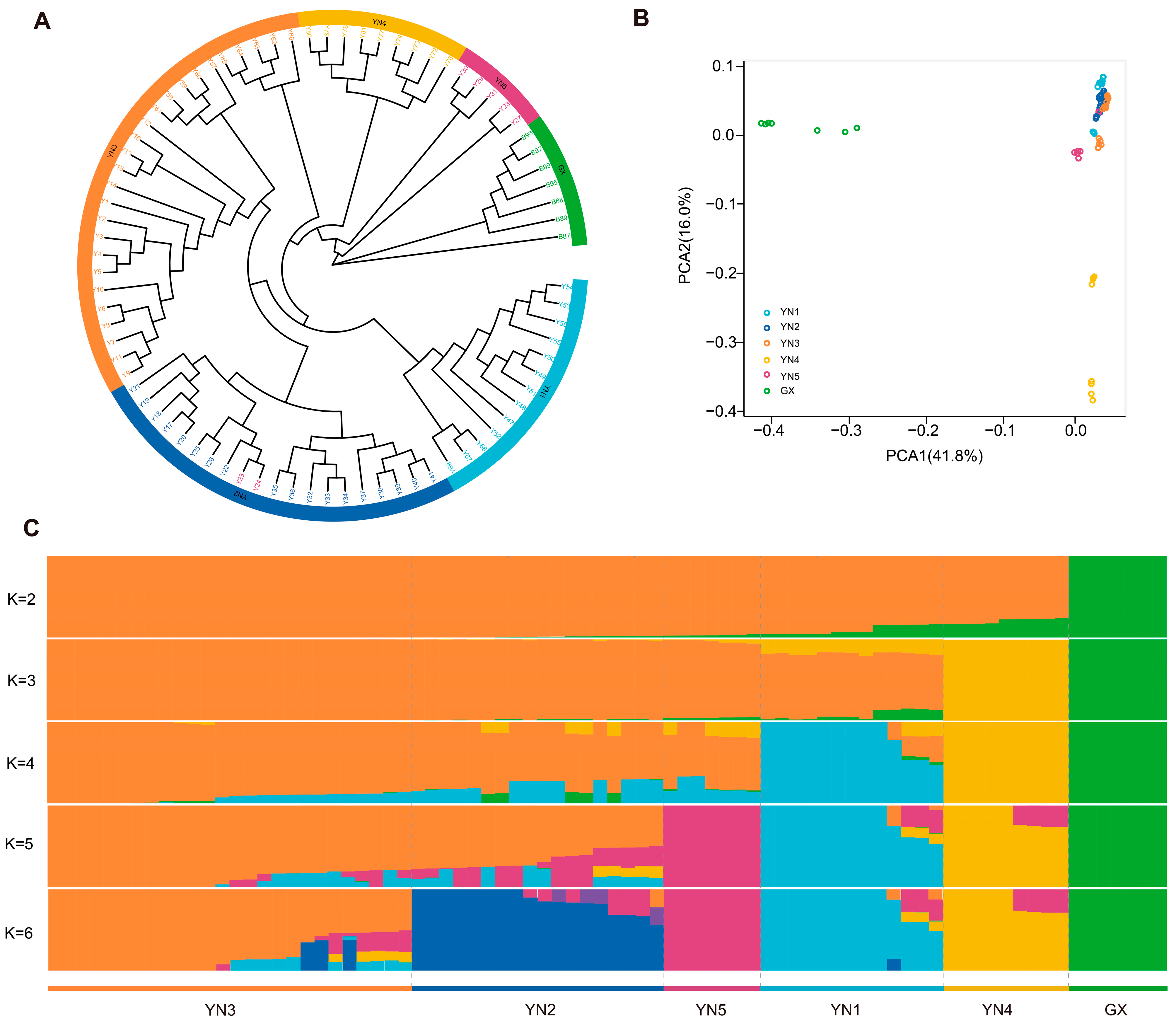 Horticulturae 11 00106 g003 Horticulturae 11 00106 g003