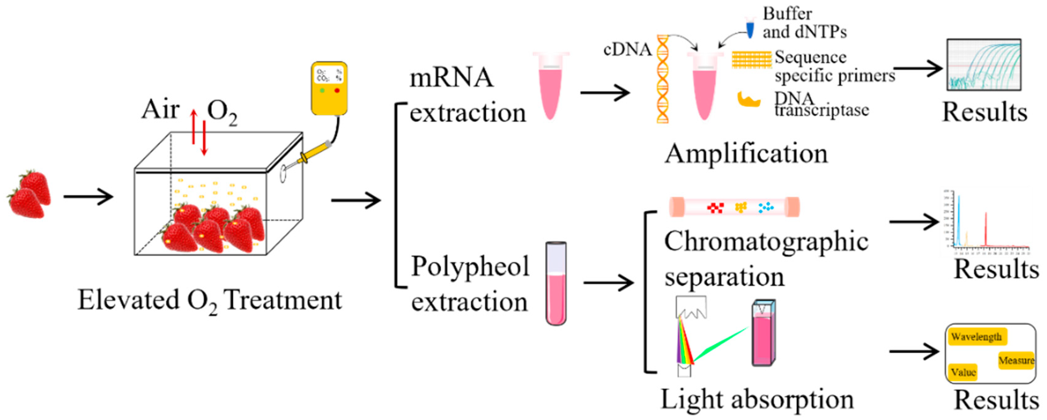 Horticulturae 11 00107 g001