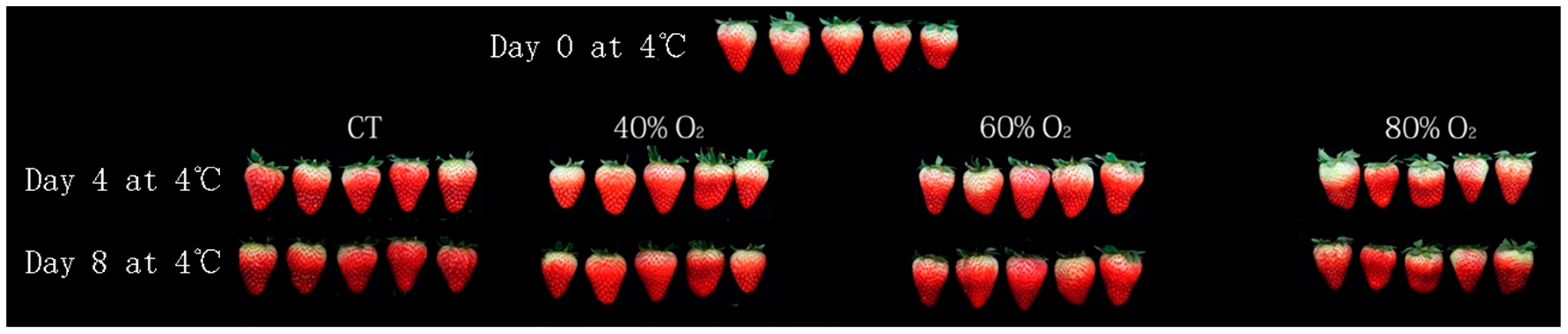 Horticulturae 11 00107 g002