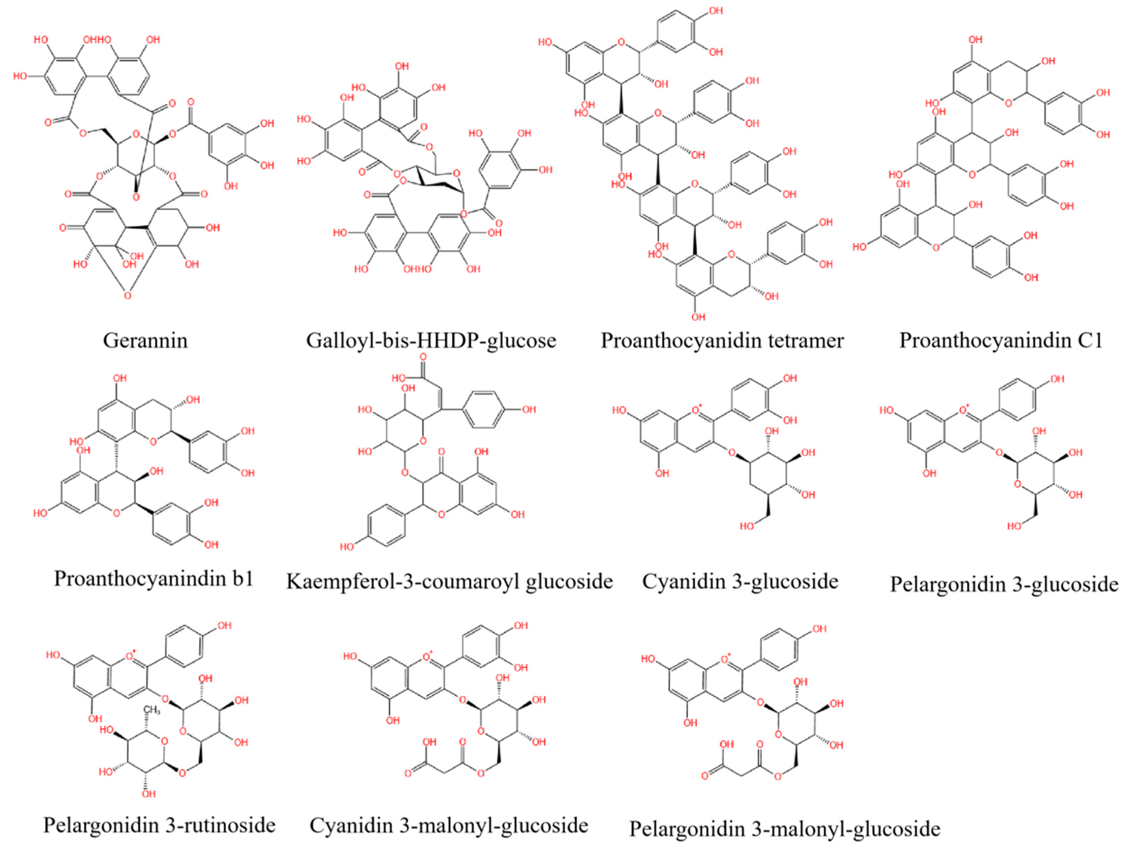 Horticulturae 11 00107 g006