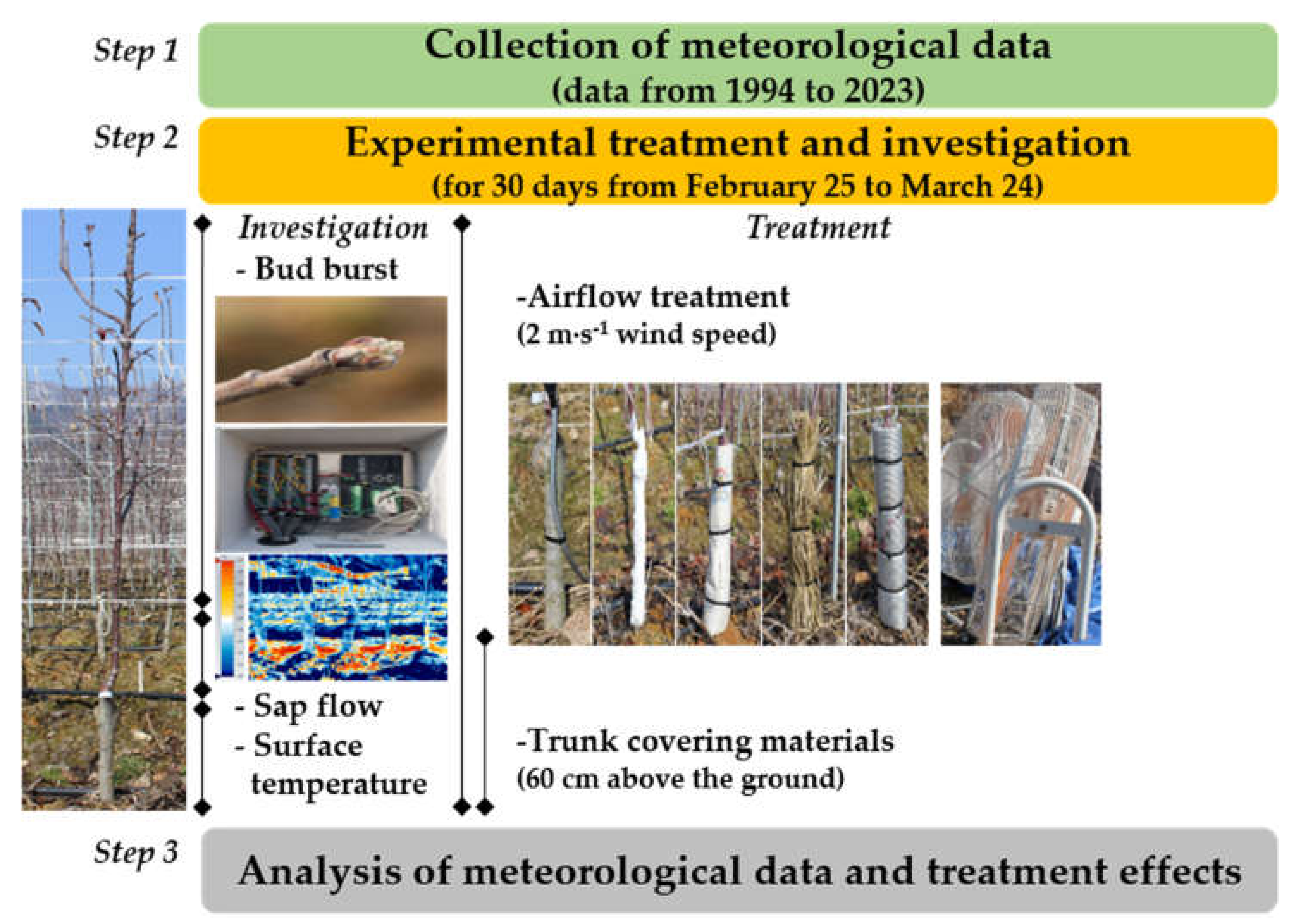 Horticulturae 11 00108 g001