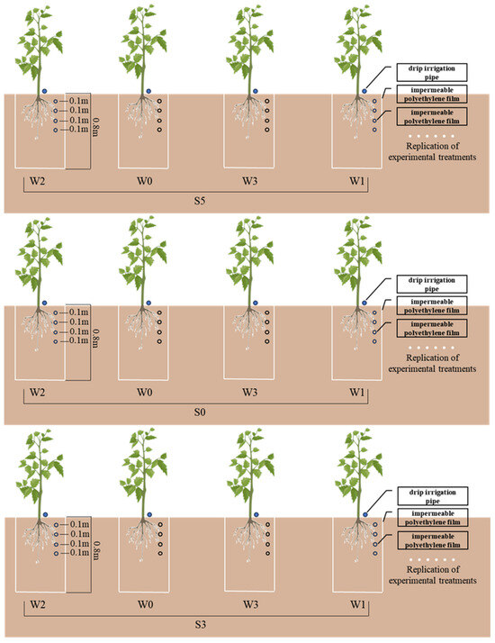 Response of Tomato Quality Parameters to Water Deficit Under Response of Tomato Quality Parameters to Water Deficit Under
