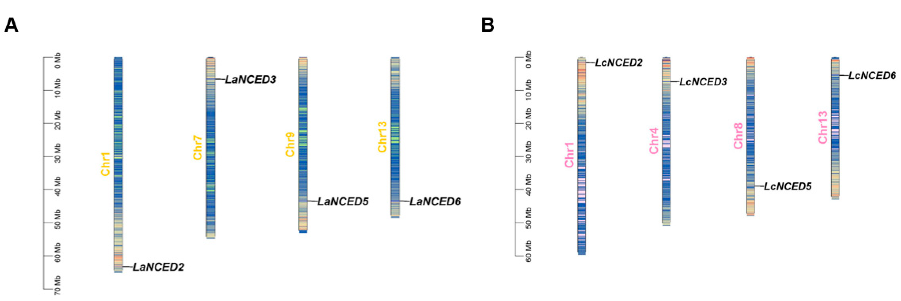 Horticulturae 11 00115 g001 Horticulturae 11 00115 g001
